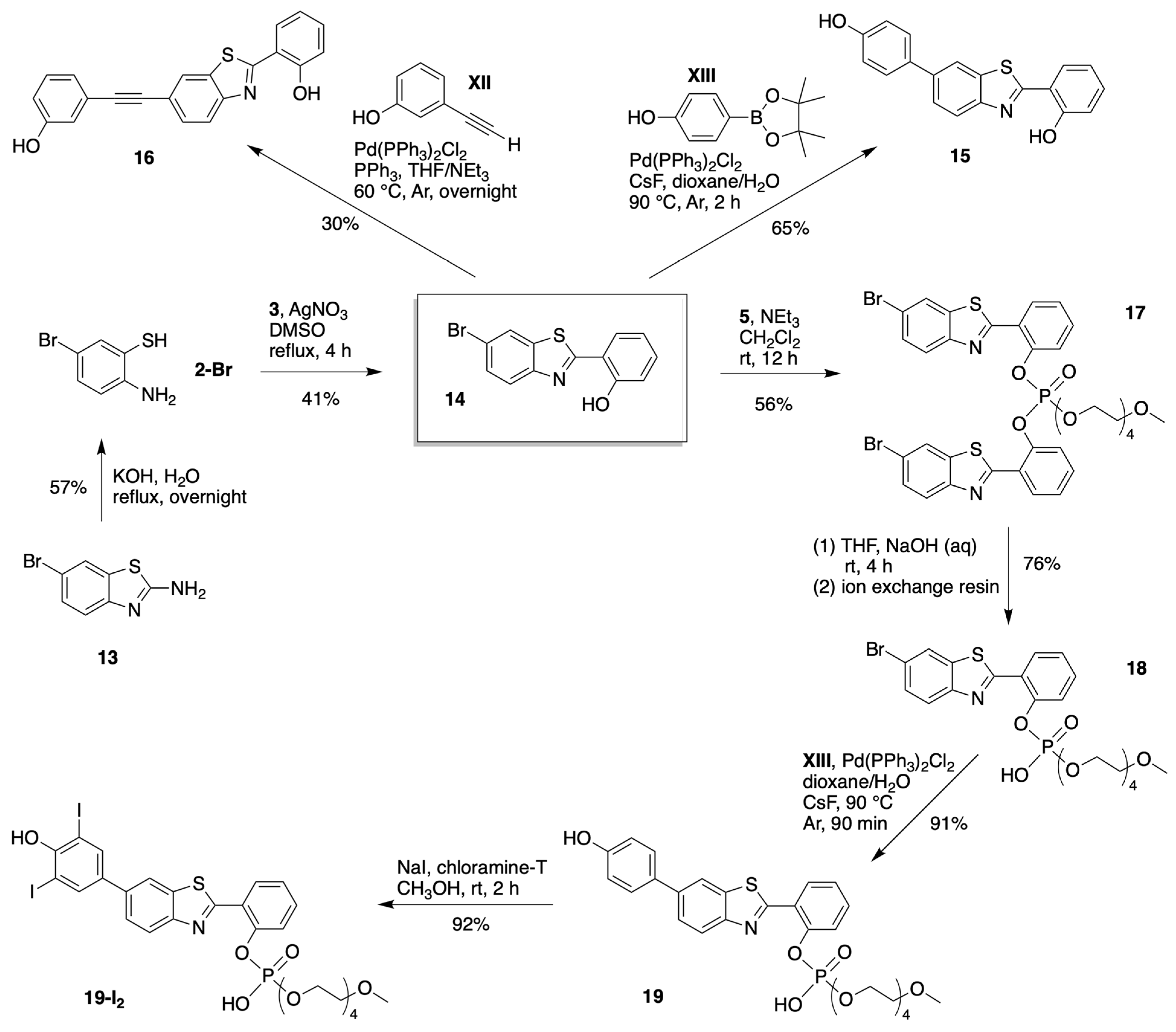 Molecules 27 08682 sch006