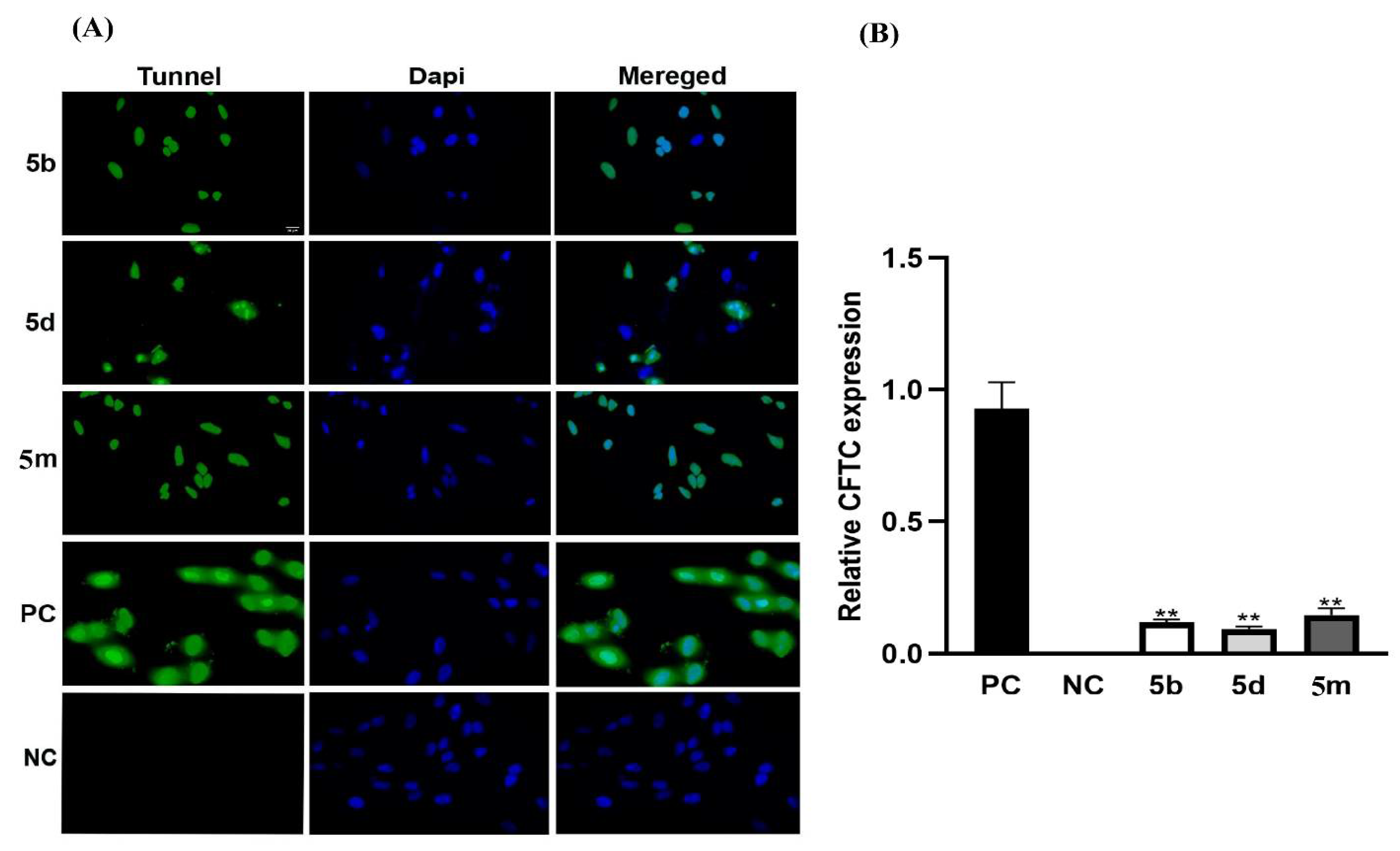 Molecules 27 08694 g009