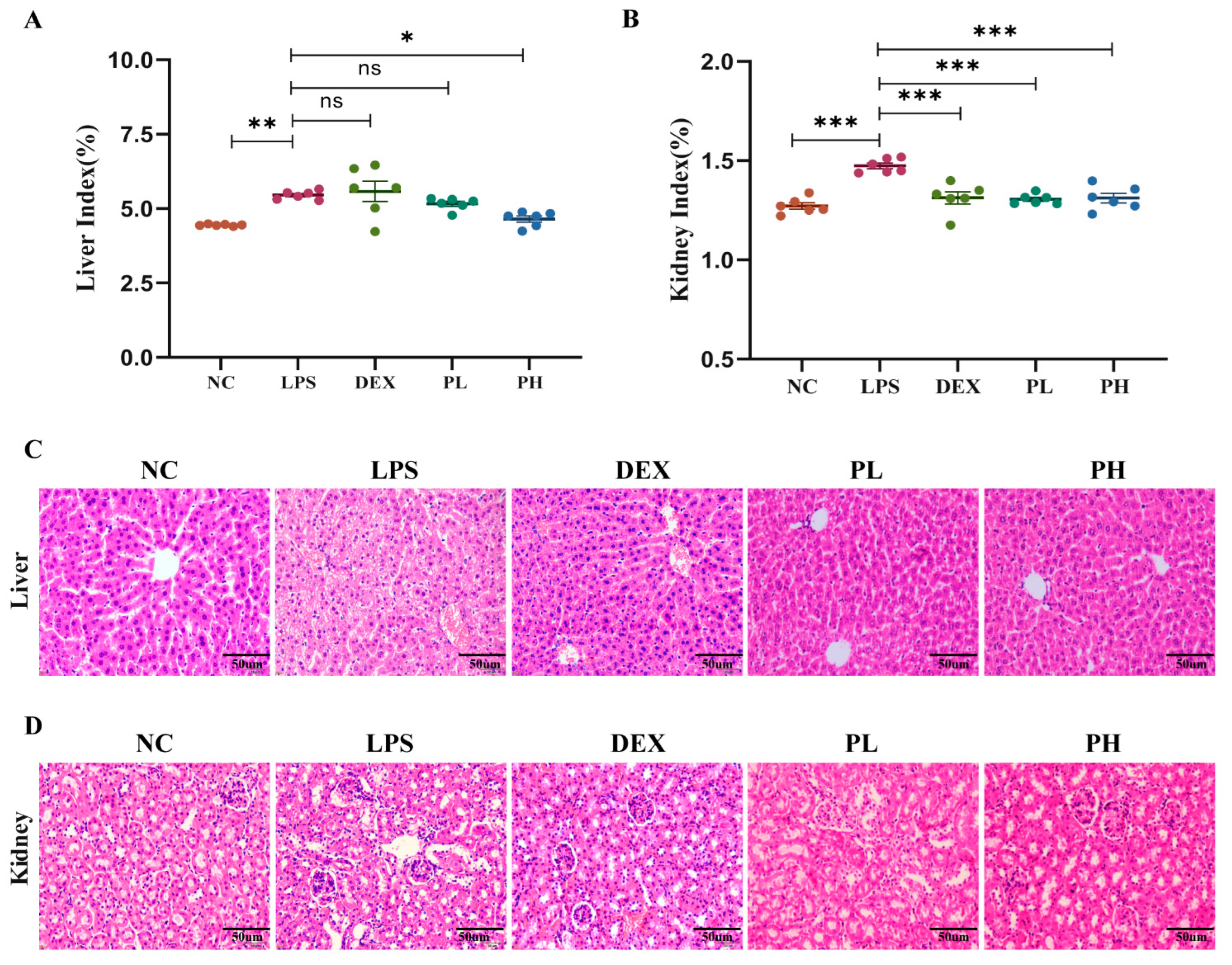Molecules 27 08695 g007