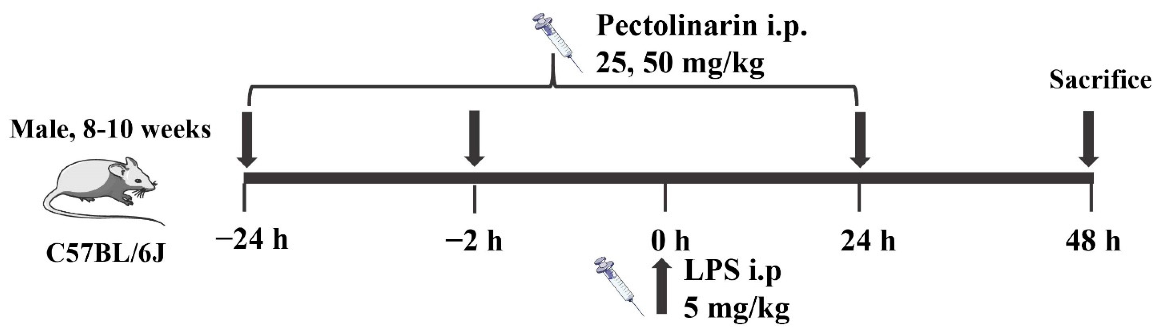 Molecules 27 08695 g011