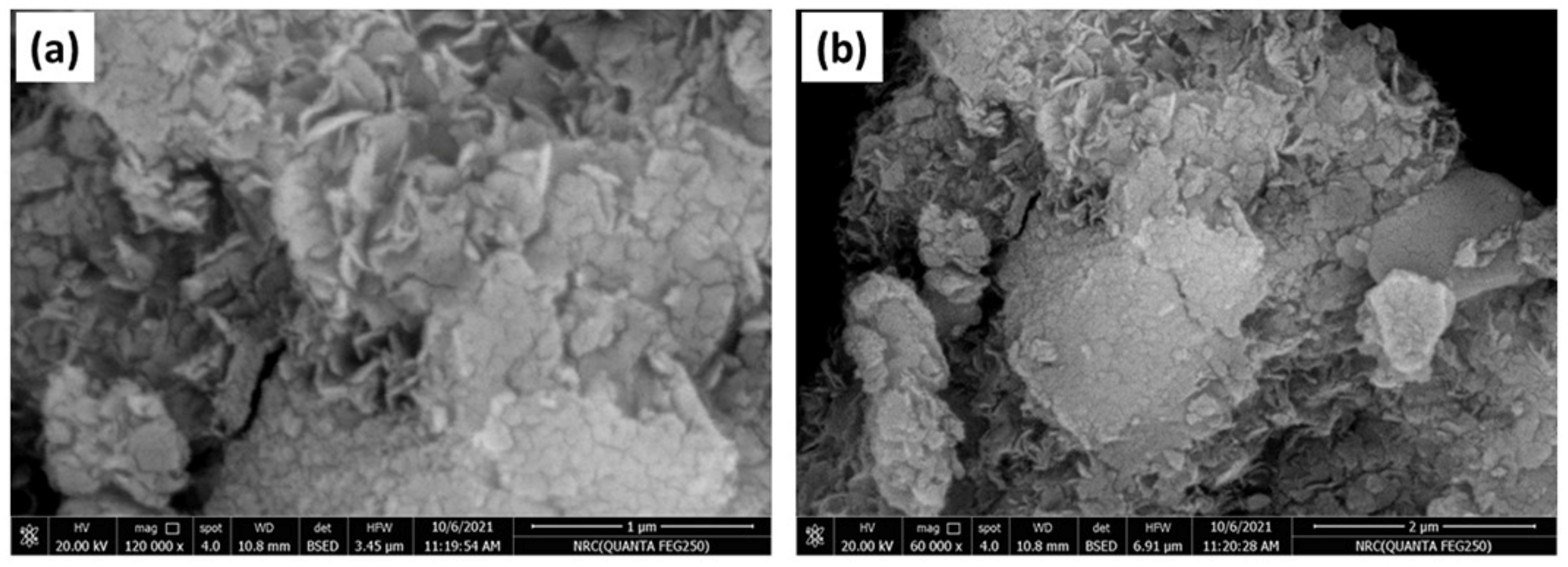 Molecules 27 08703 g002a Molecules 27 08703 g002a