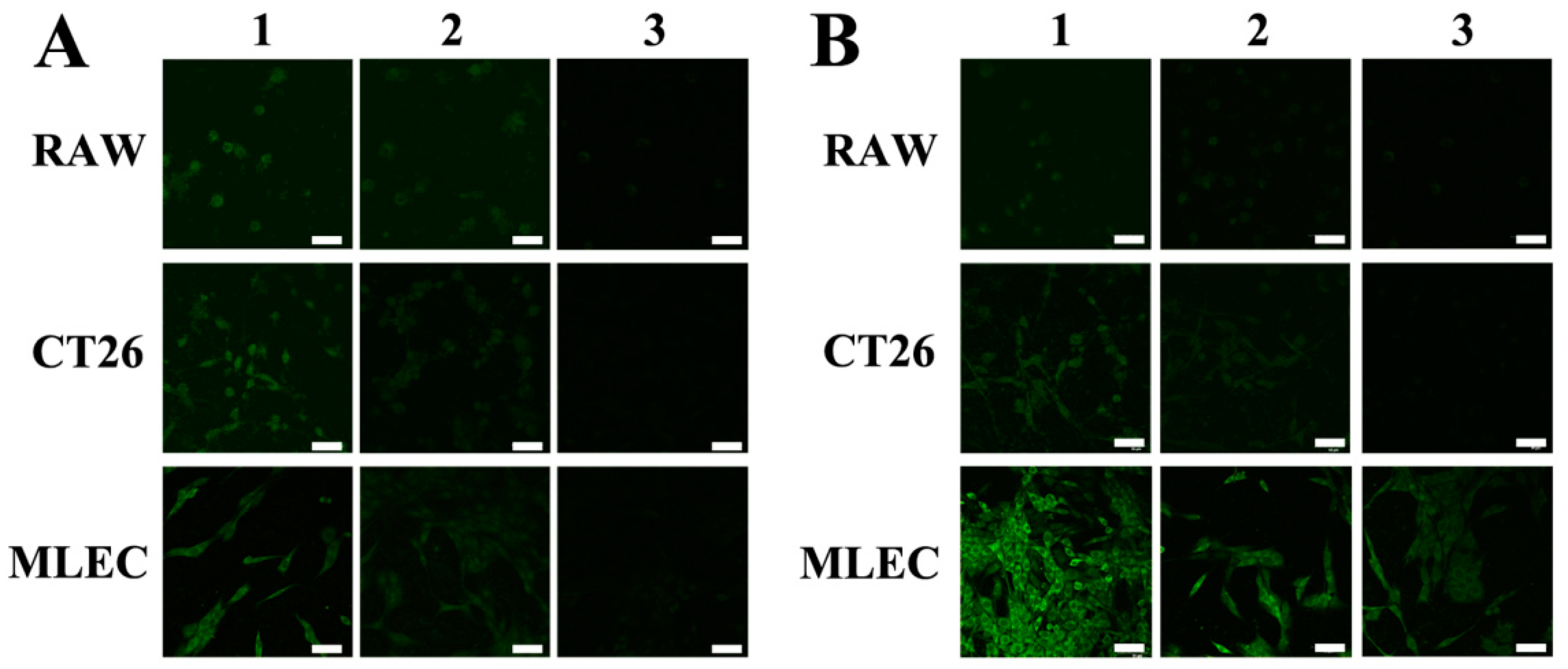 Molecules 27 08704 g003