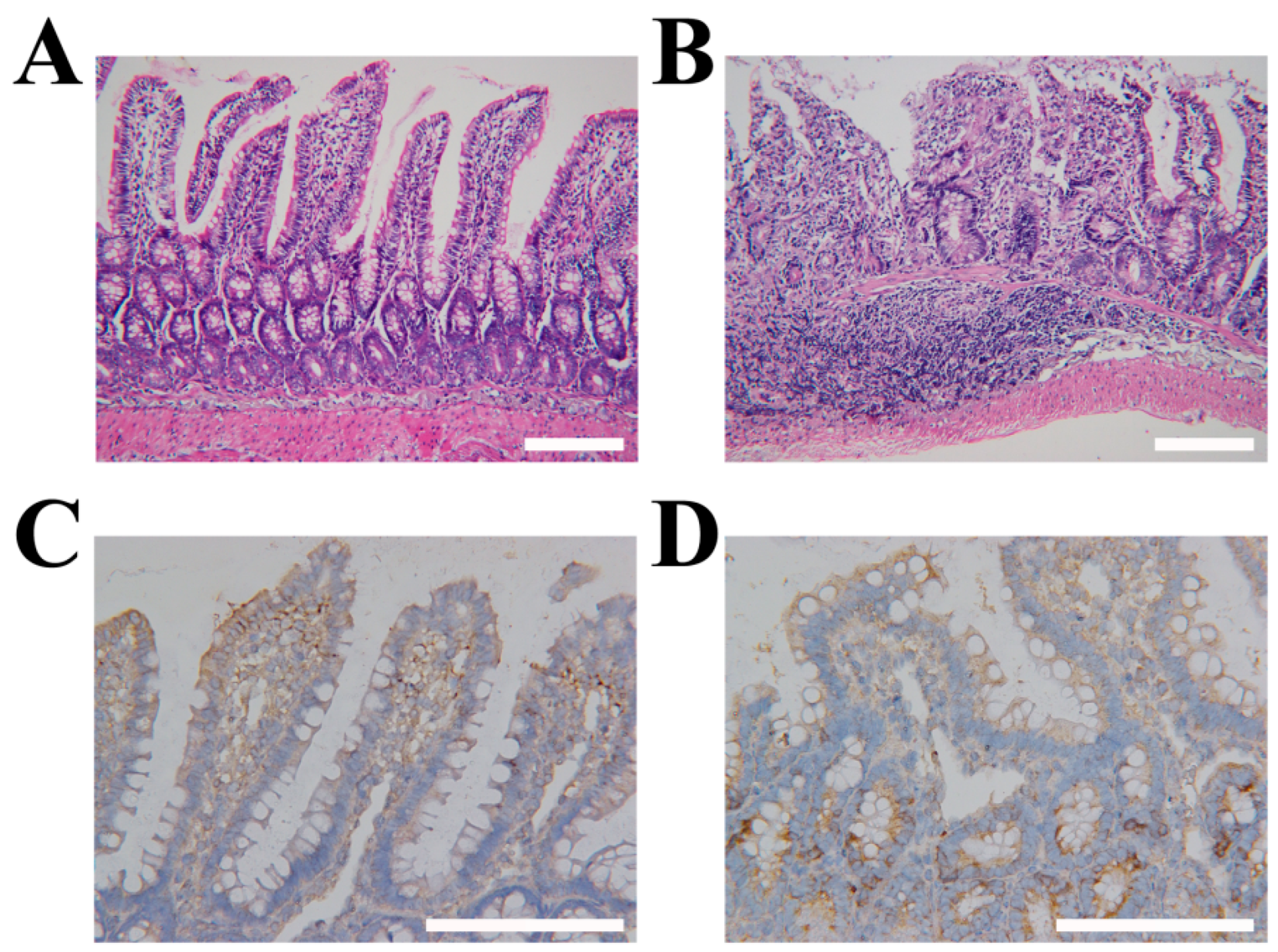 Molecules 27 08704 g004