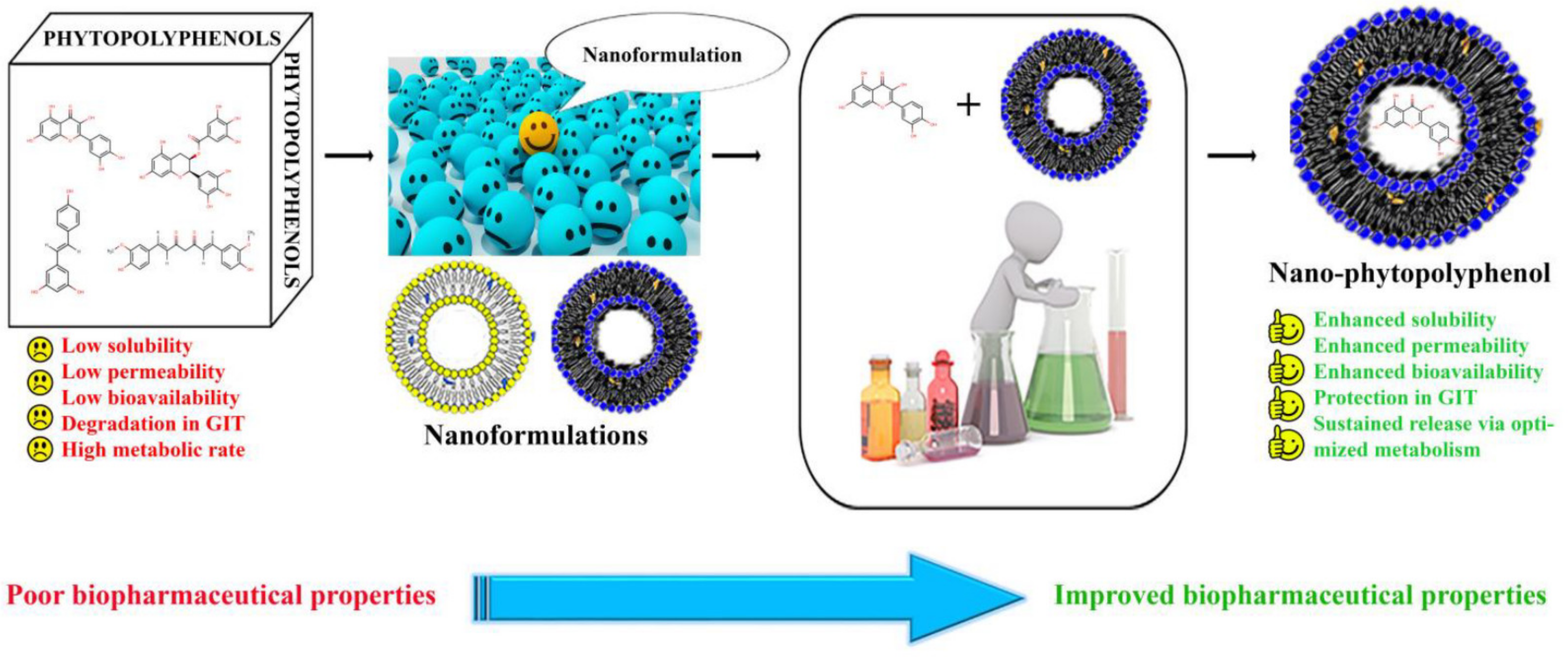 Molecules 27 08706 g003 Molecules 27 08706 g003