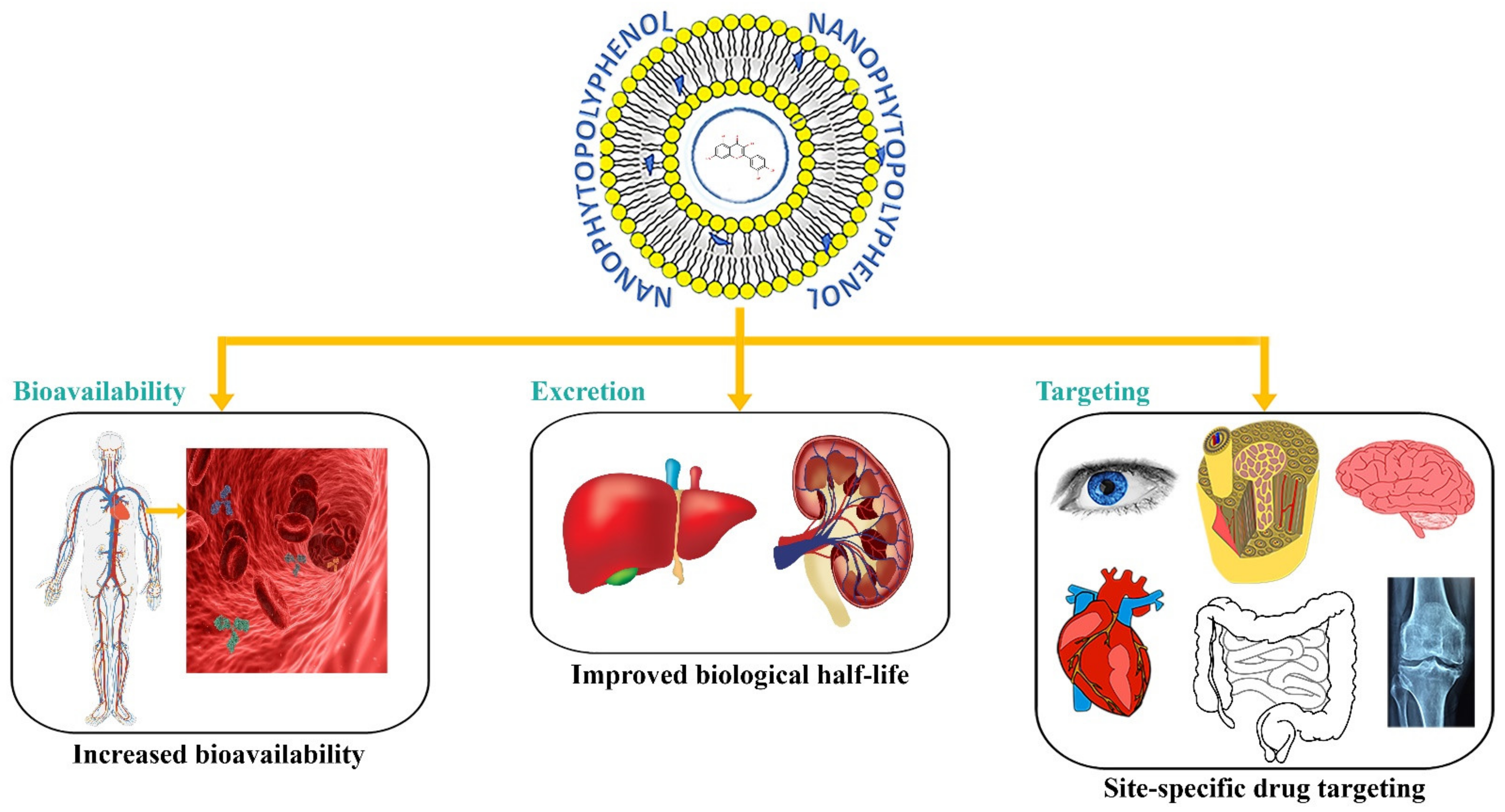 Molecules 27 08706 g004 Molecules 27 08706 g004
