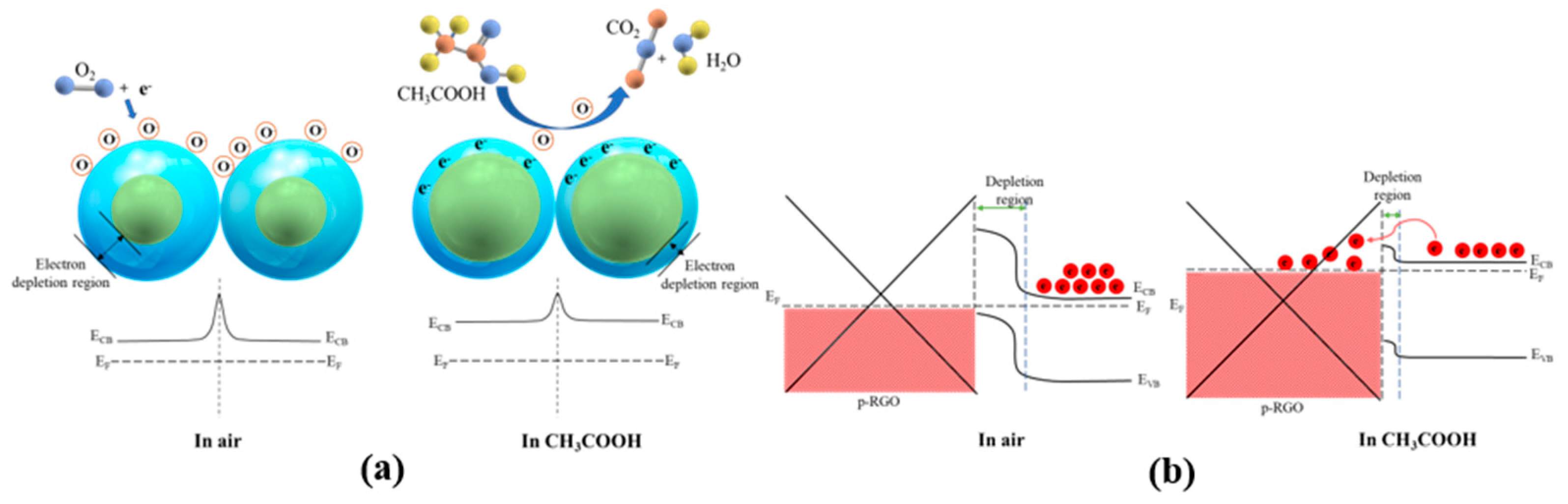 Molecules 27 08707 g010