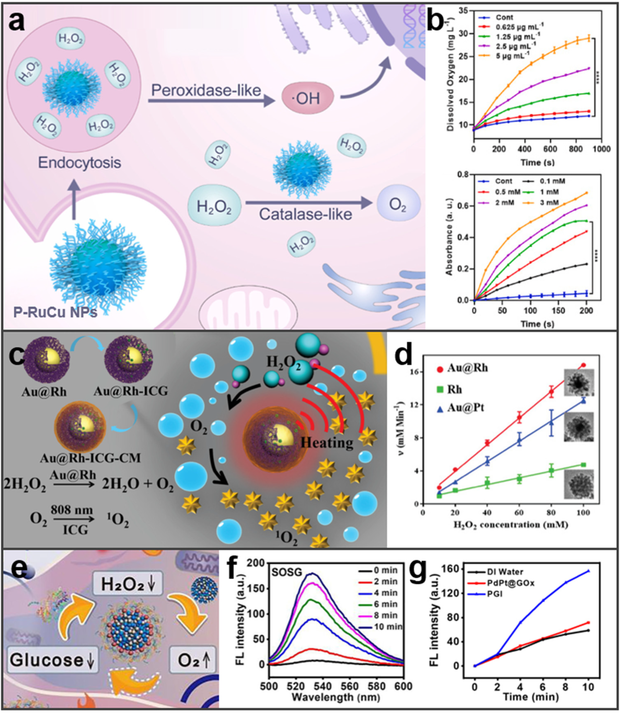 Molecules 27 08712 g005 Molecules 27 08712 g005