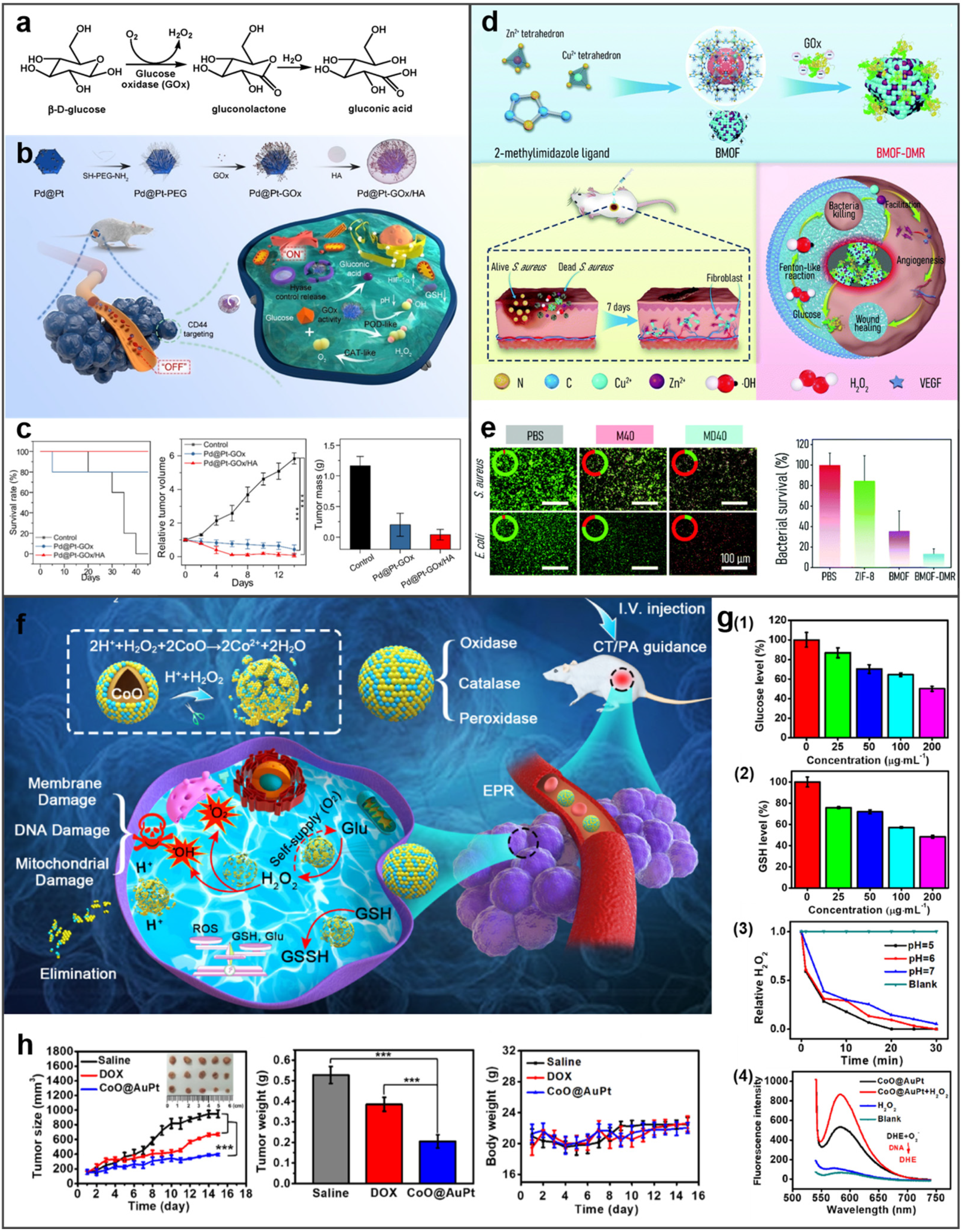 Molecules 27 08712 g008 Molecules 27 08712 g008