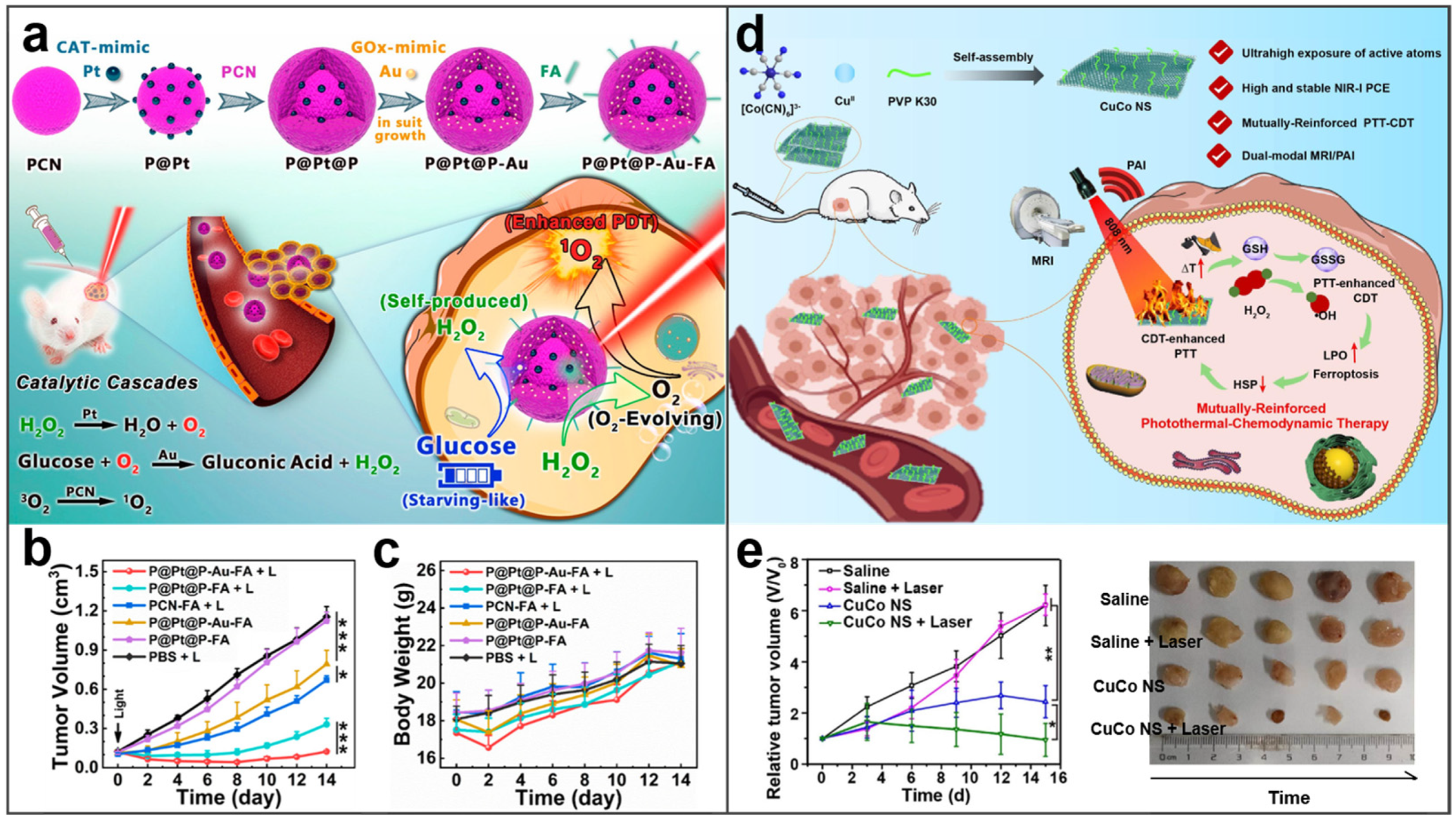 Molecules 27 08712 g012 Molecules 27 08712 g012