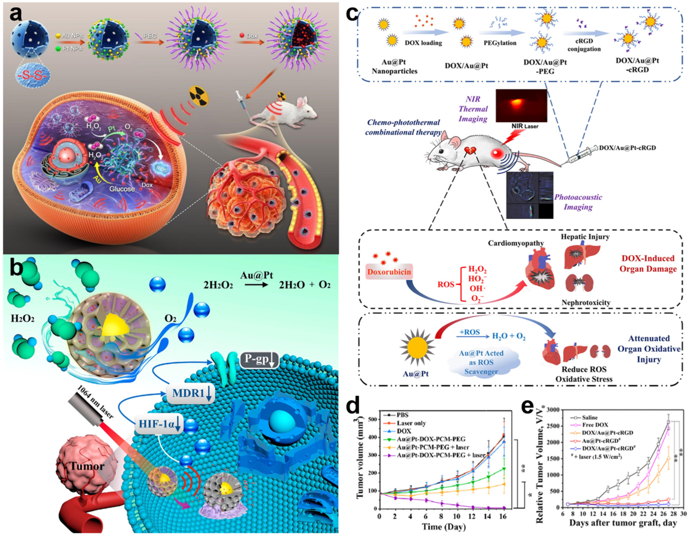 Molecules 27 08712 g013 Molecules 27 08712 g013