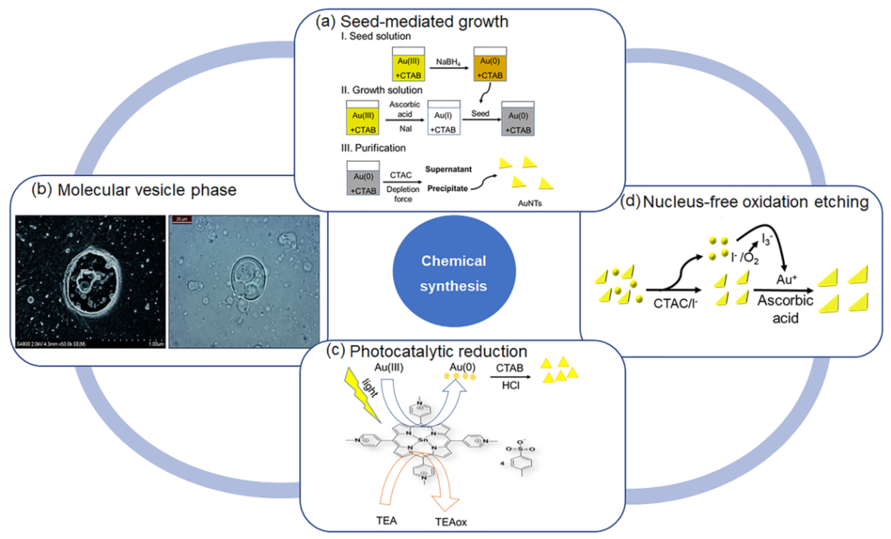 Molecules 27 08766 g002 Molecules 27 08766 g002