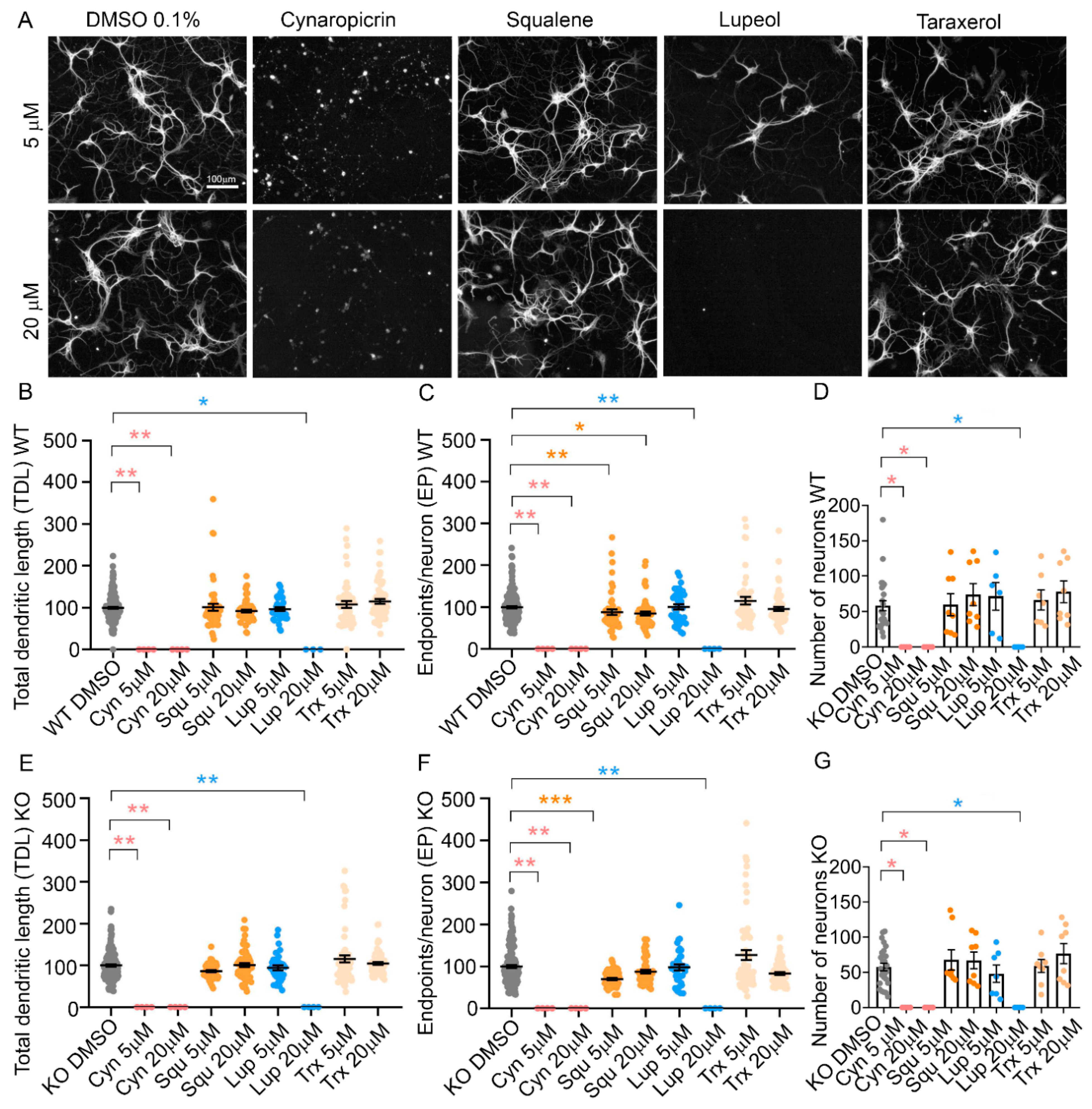 Molecules 27 08772 g006 Molecules 27 08772 g006