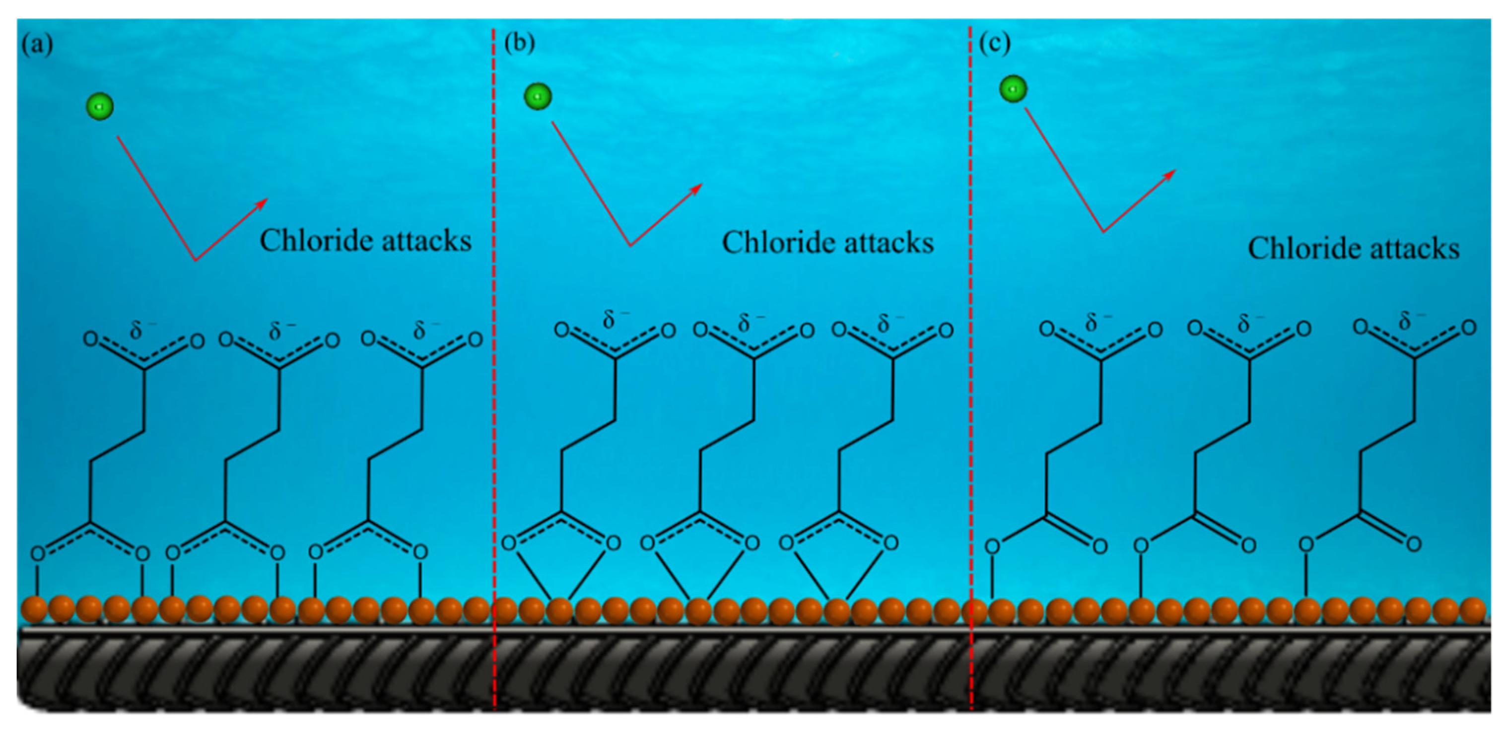Molecules 27 08776 g002