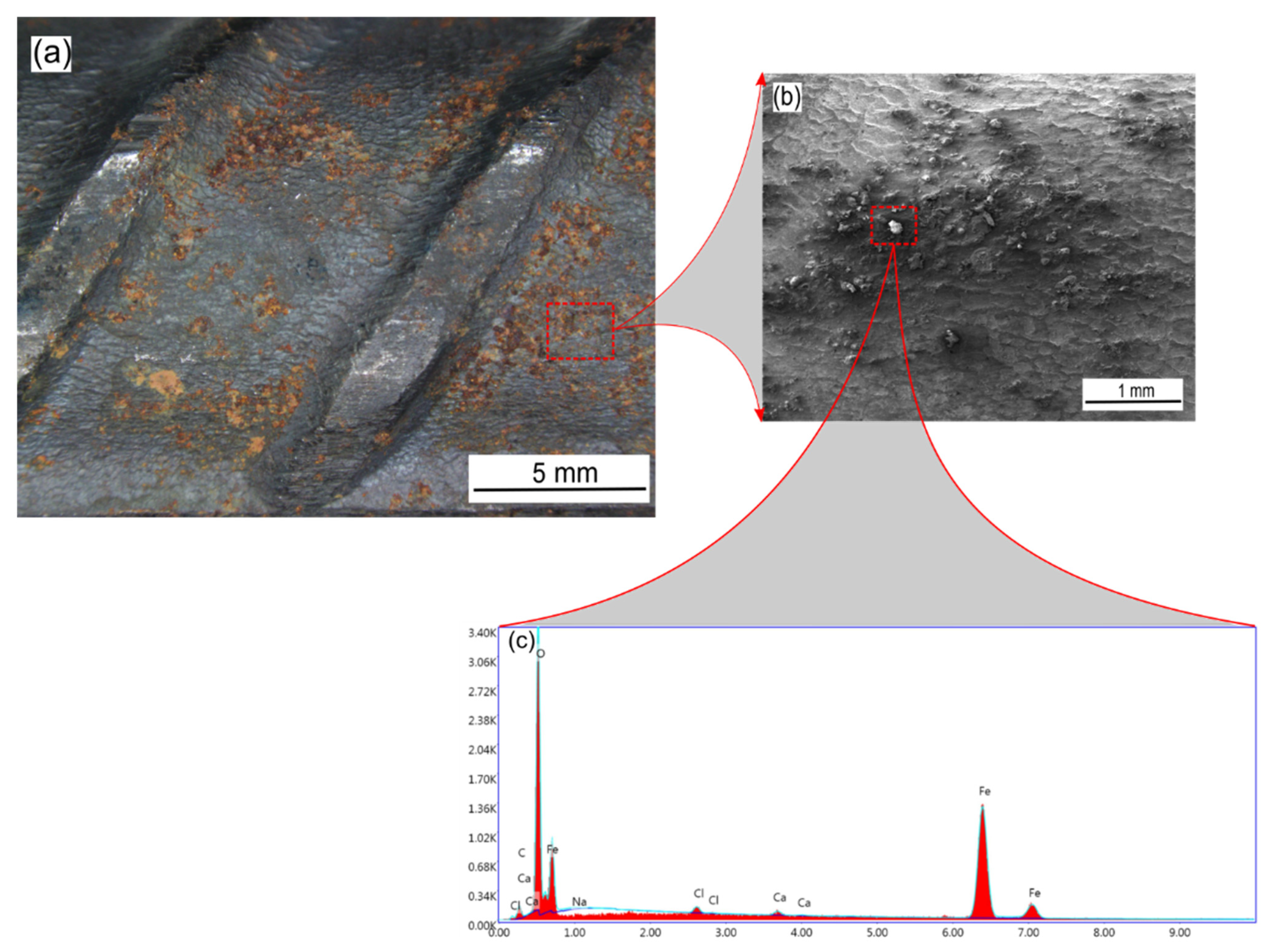 Molecules 27 08776 g012