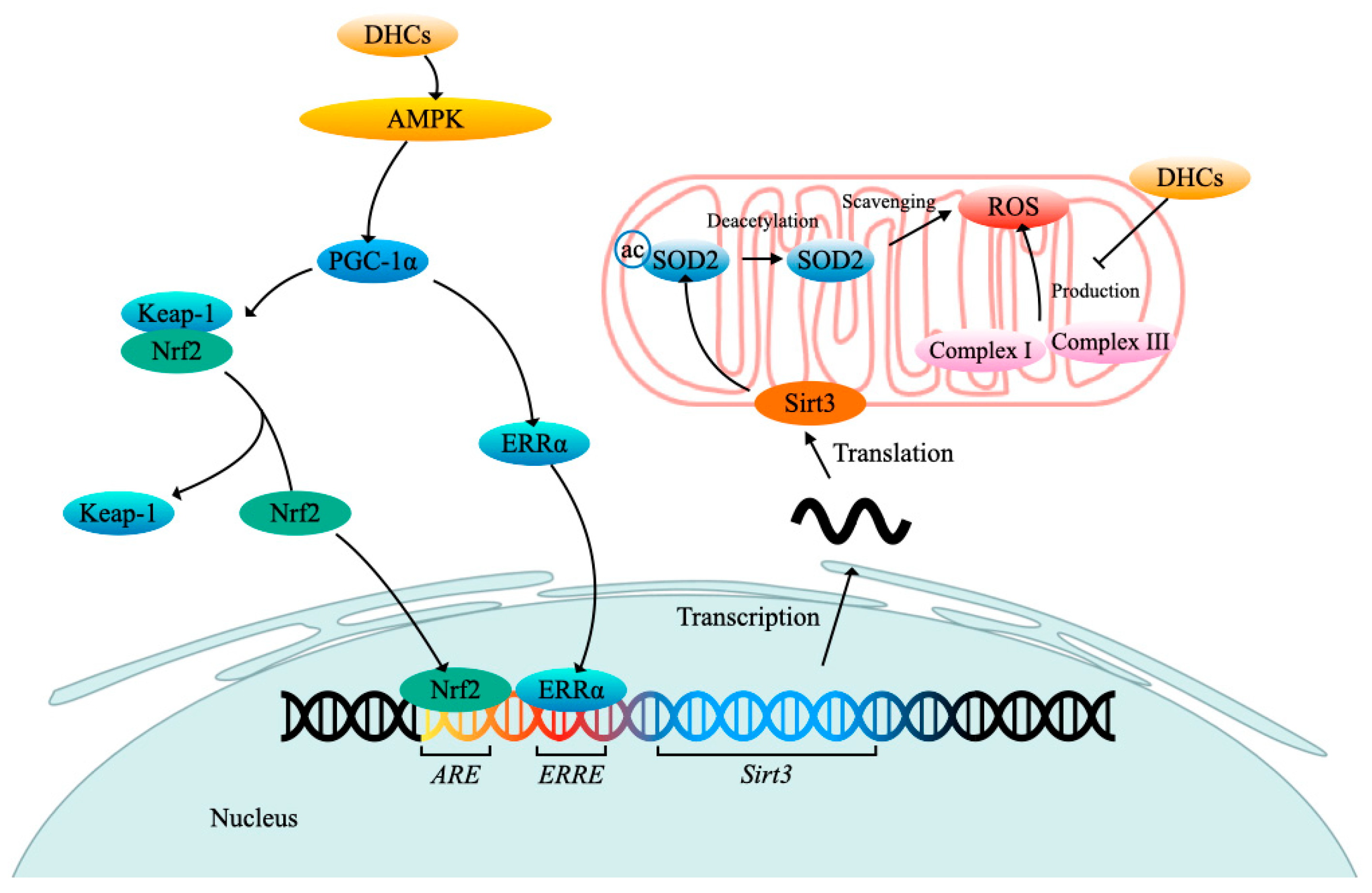 Molecules 27 08794 g004