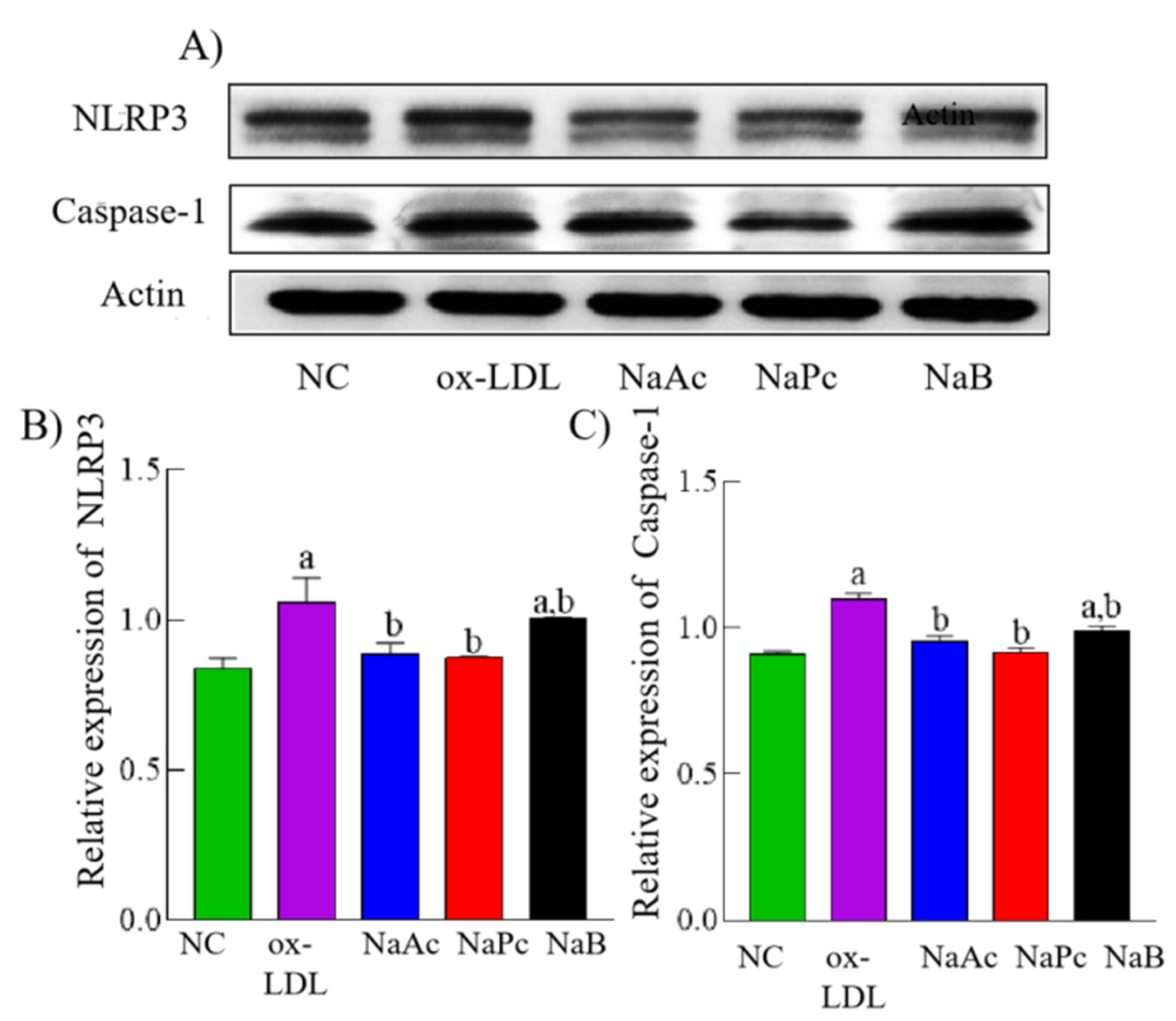 Molecules 27 08801 g004