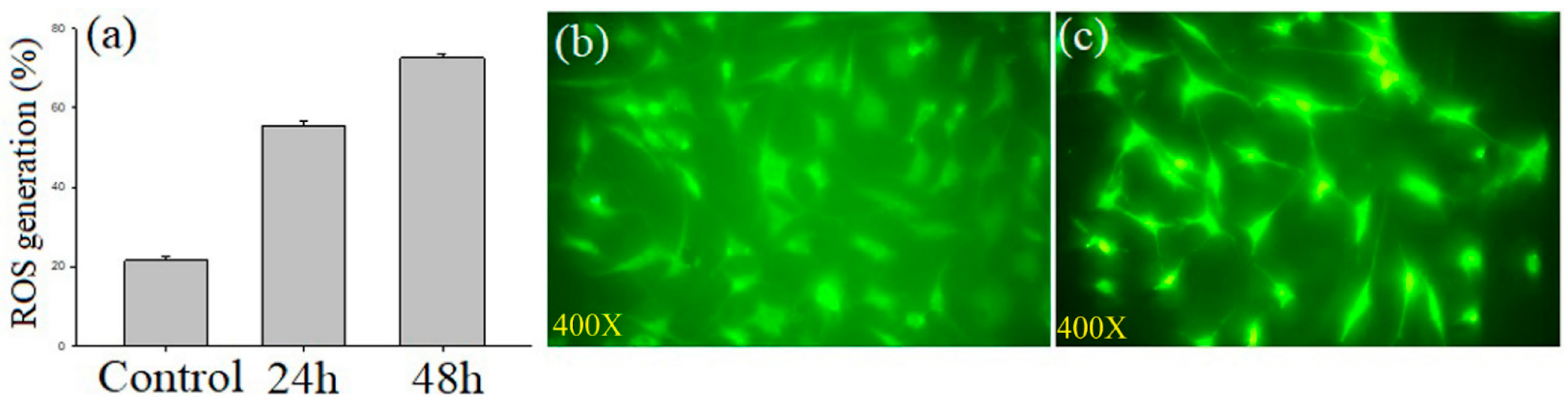 Molecules 27 08814 g008 Molecules 27 08814 g008