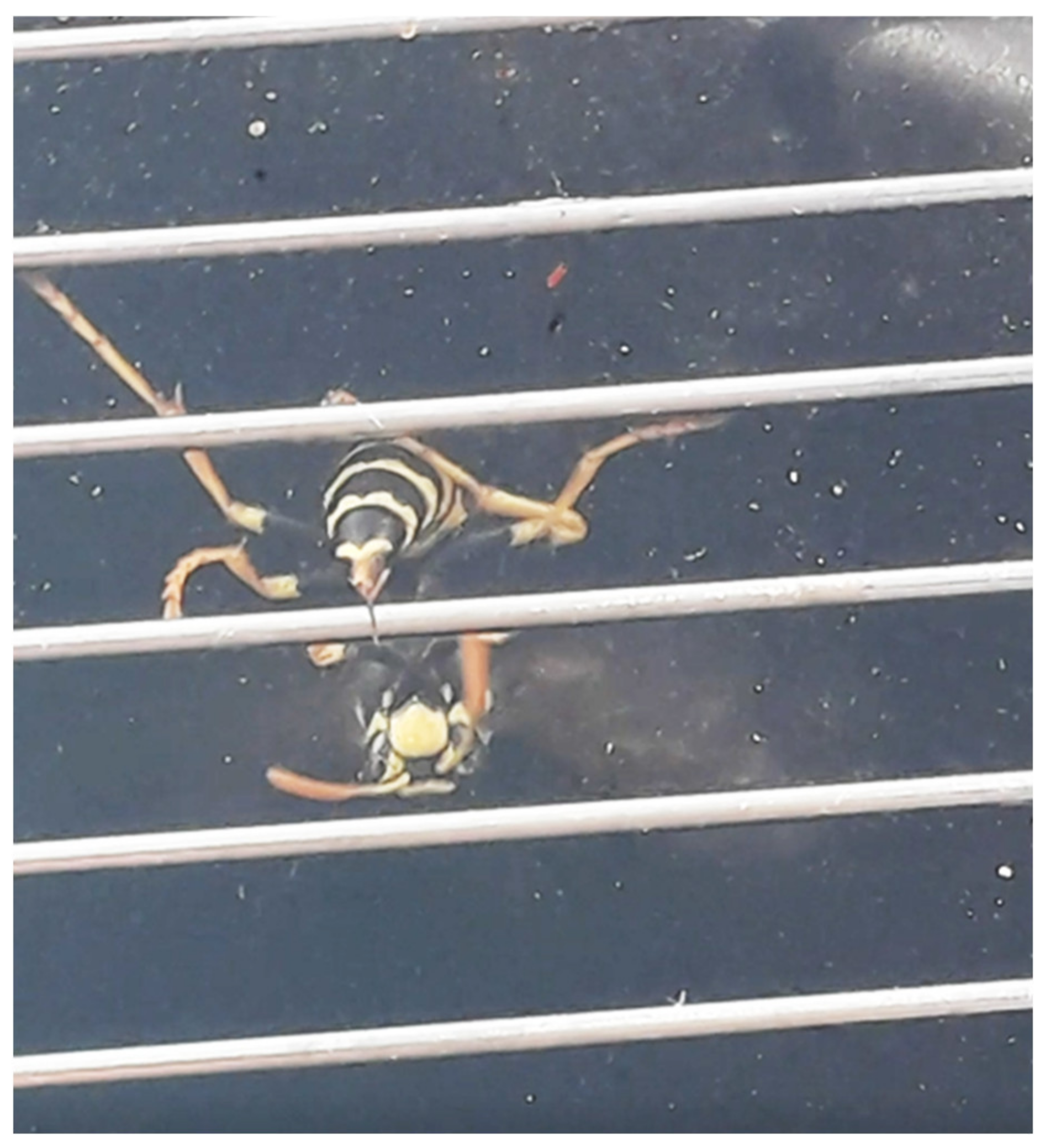 Molecules 27 08821 g003 Molecules 27 08821 g003