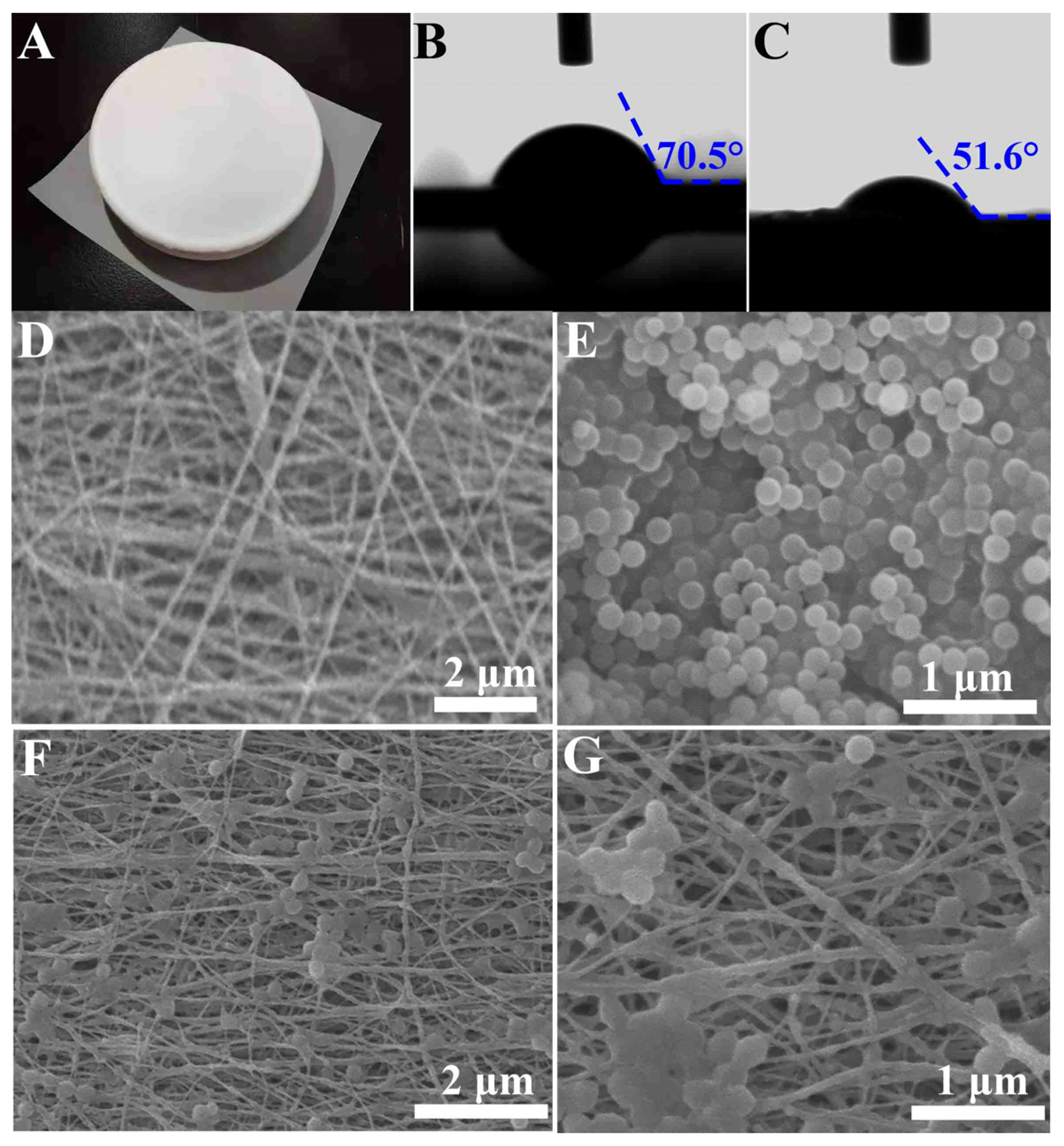 Molecules 27 08832 g002 Molecules 27 08832 g002