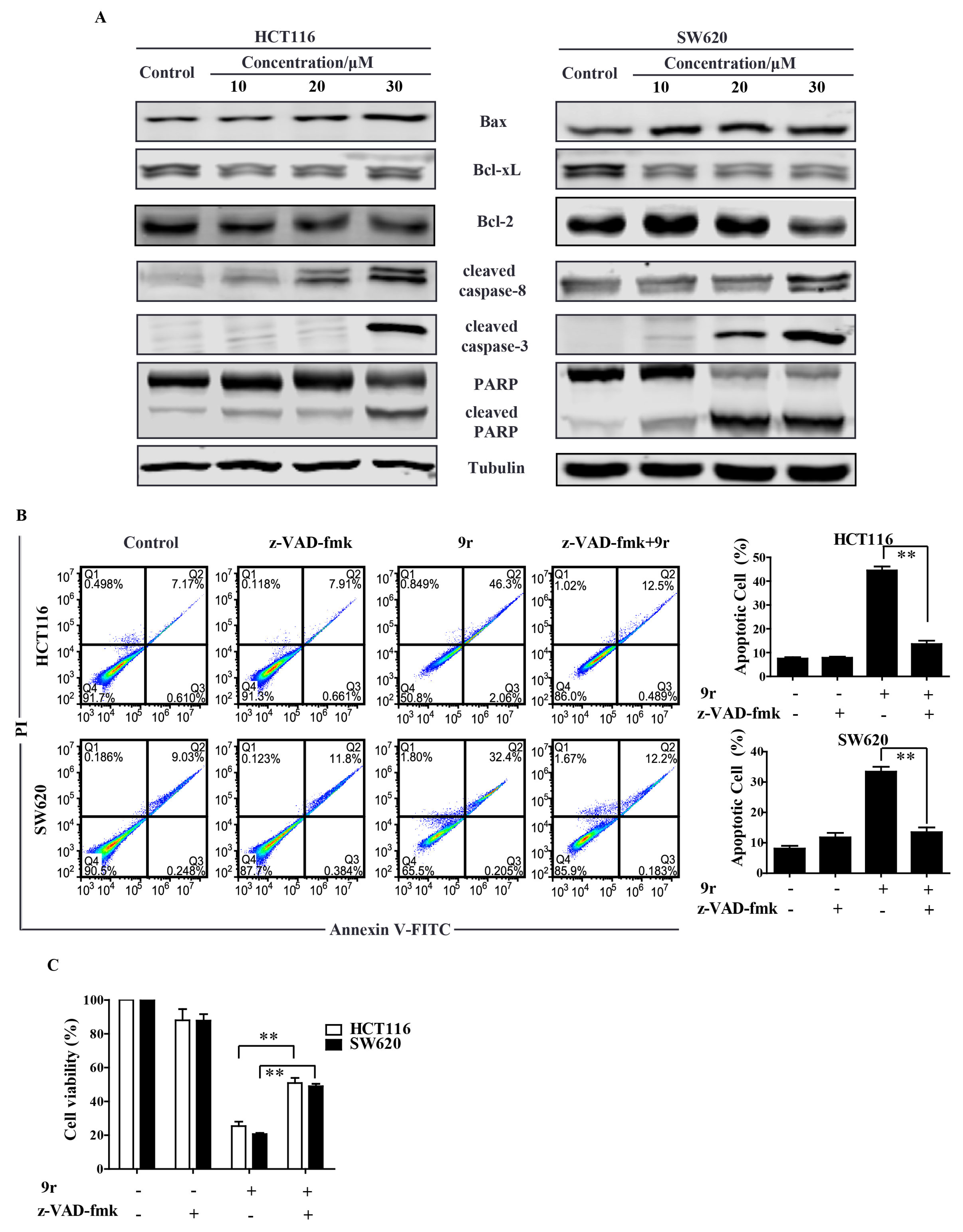 Molecules 27 08844 g003
