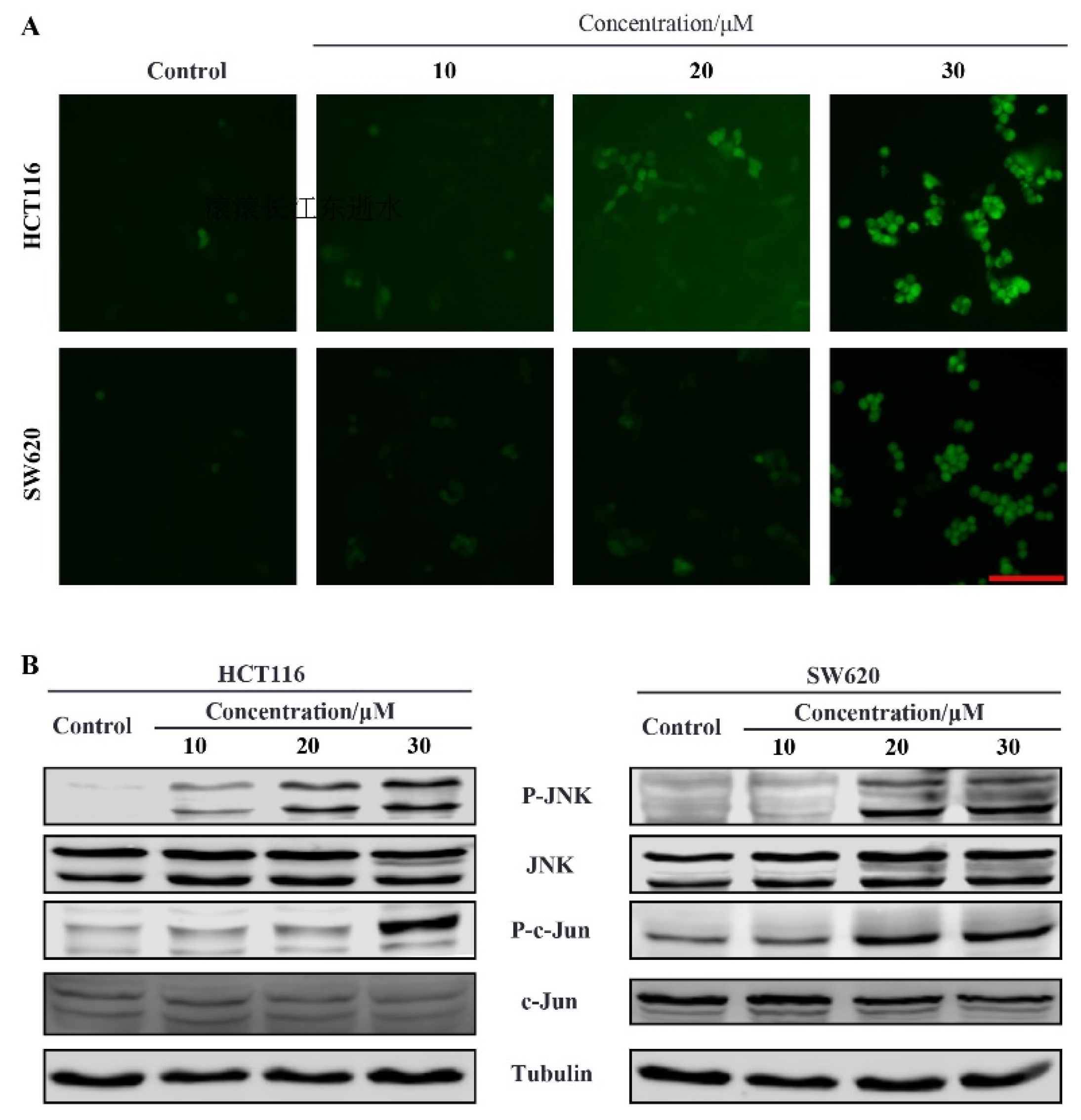Molecules 27 08844 g004
