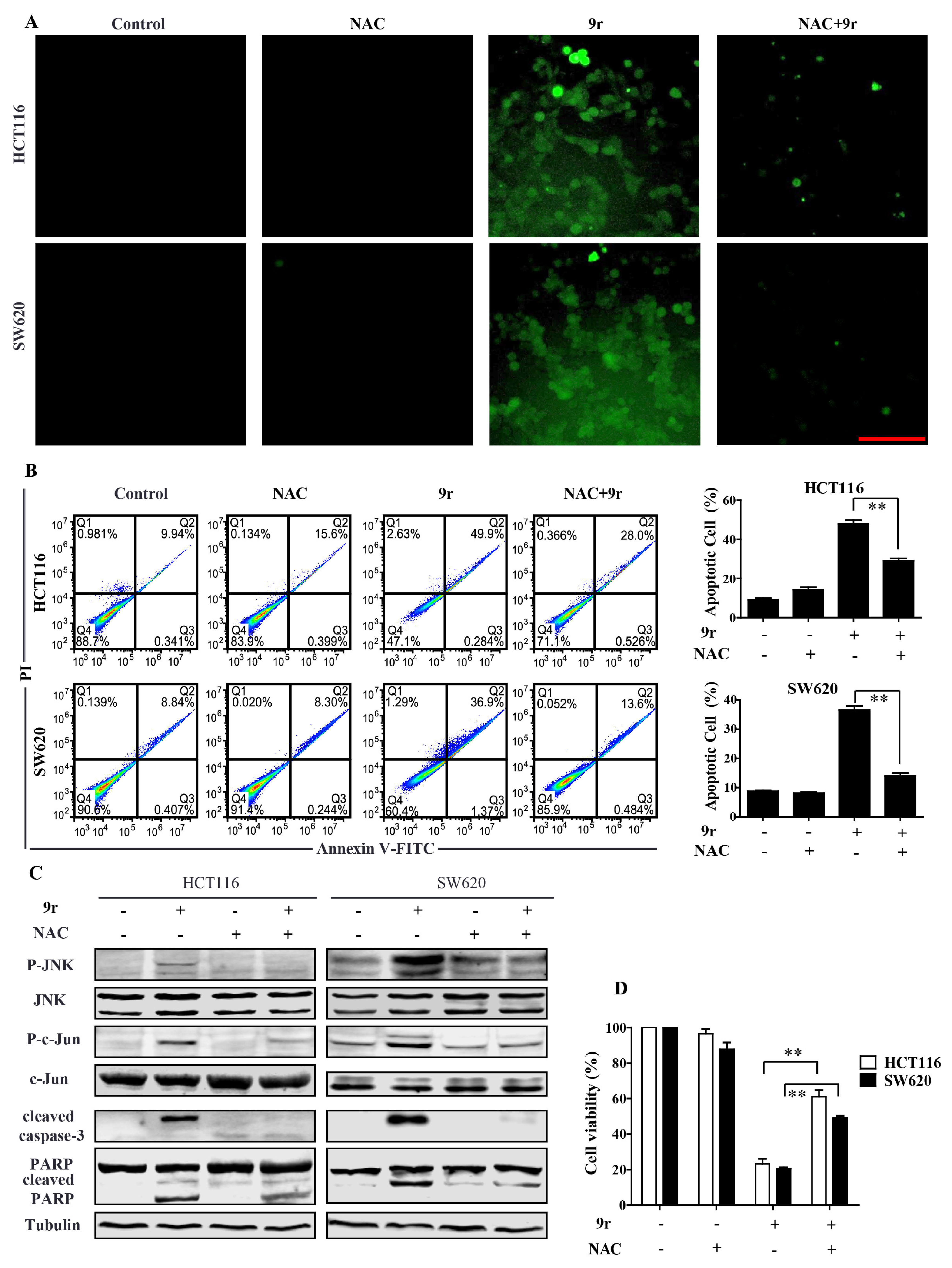 Molecules 27 08844 g005