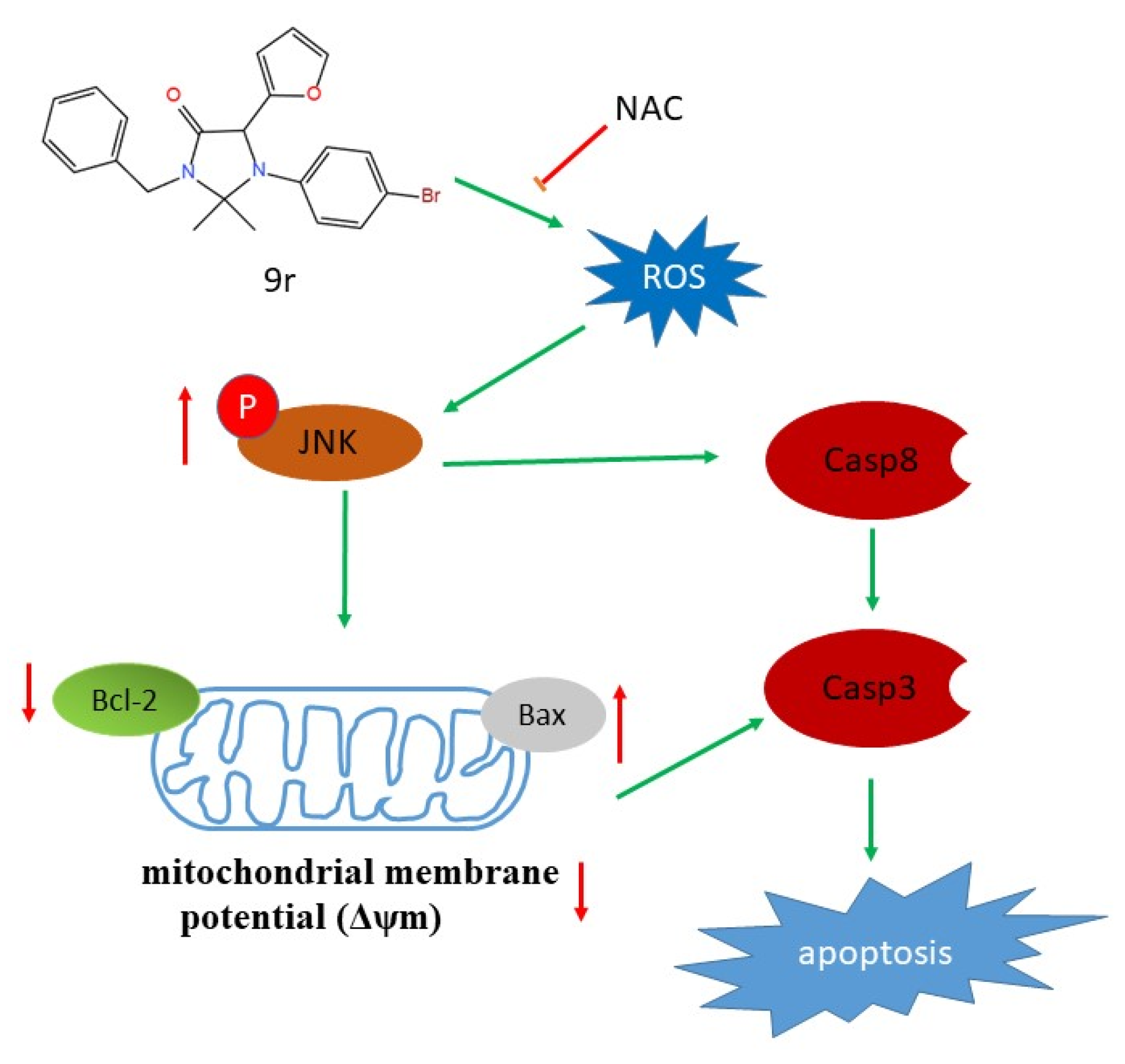 Molecules 27 08844 g006