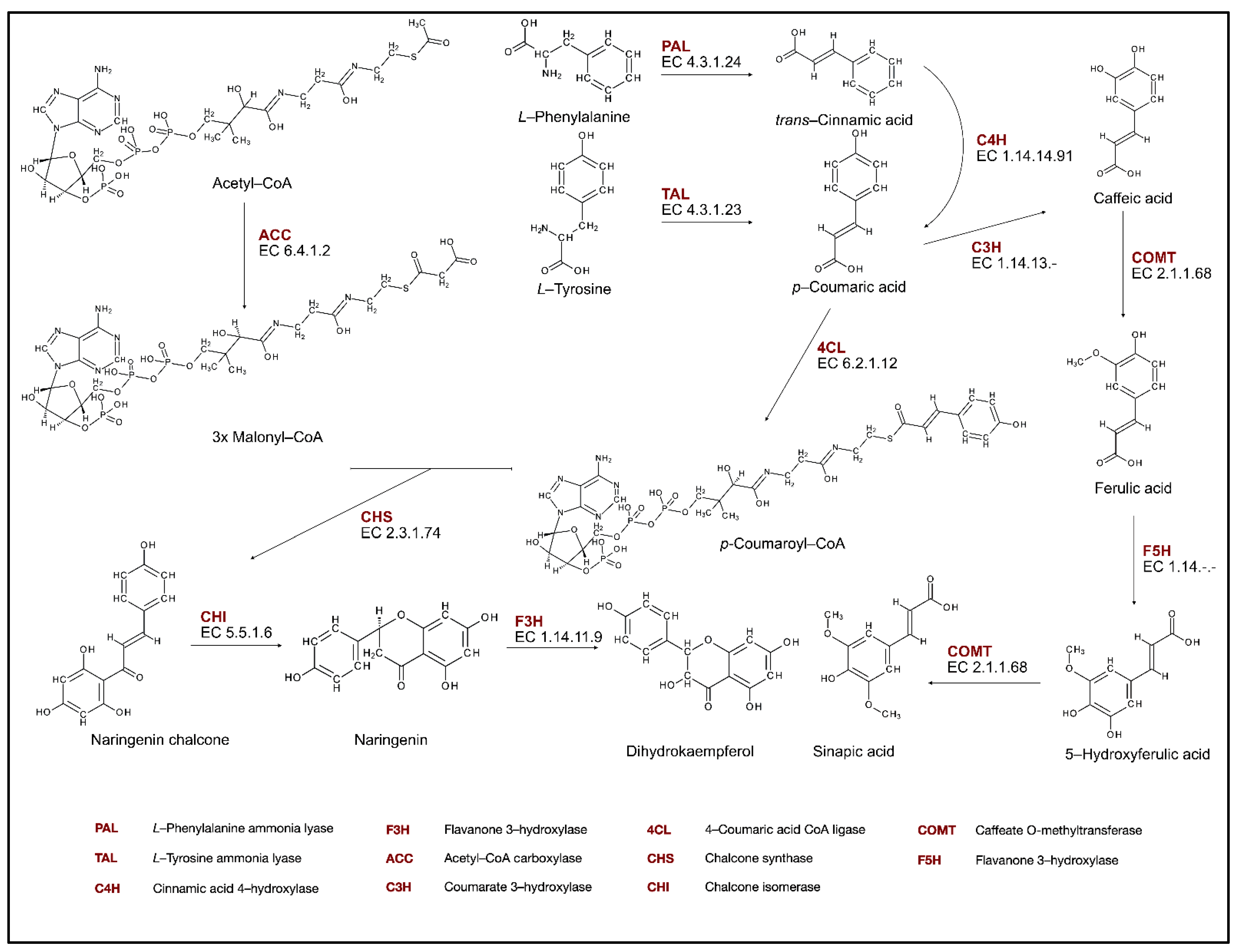 Molecules 27 08852 g001 Molecules 27 08852 g001