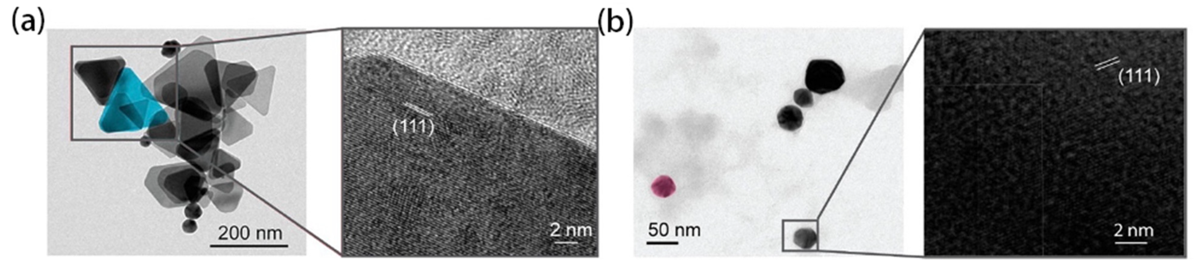 Molecules 27 08854 g002 Molecules 27 08854 g002