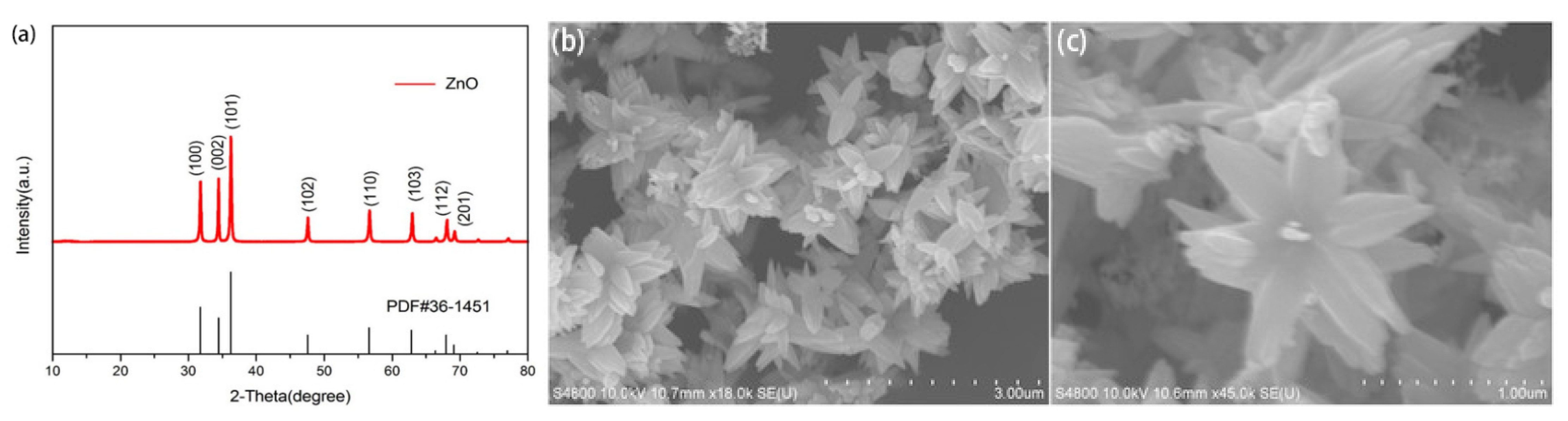 Molecules 27 08854 g005 Molecules 27 08854 g005