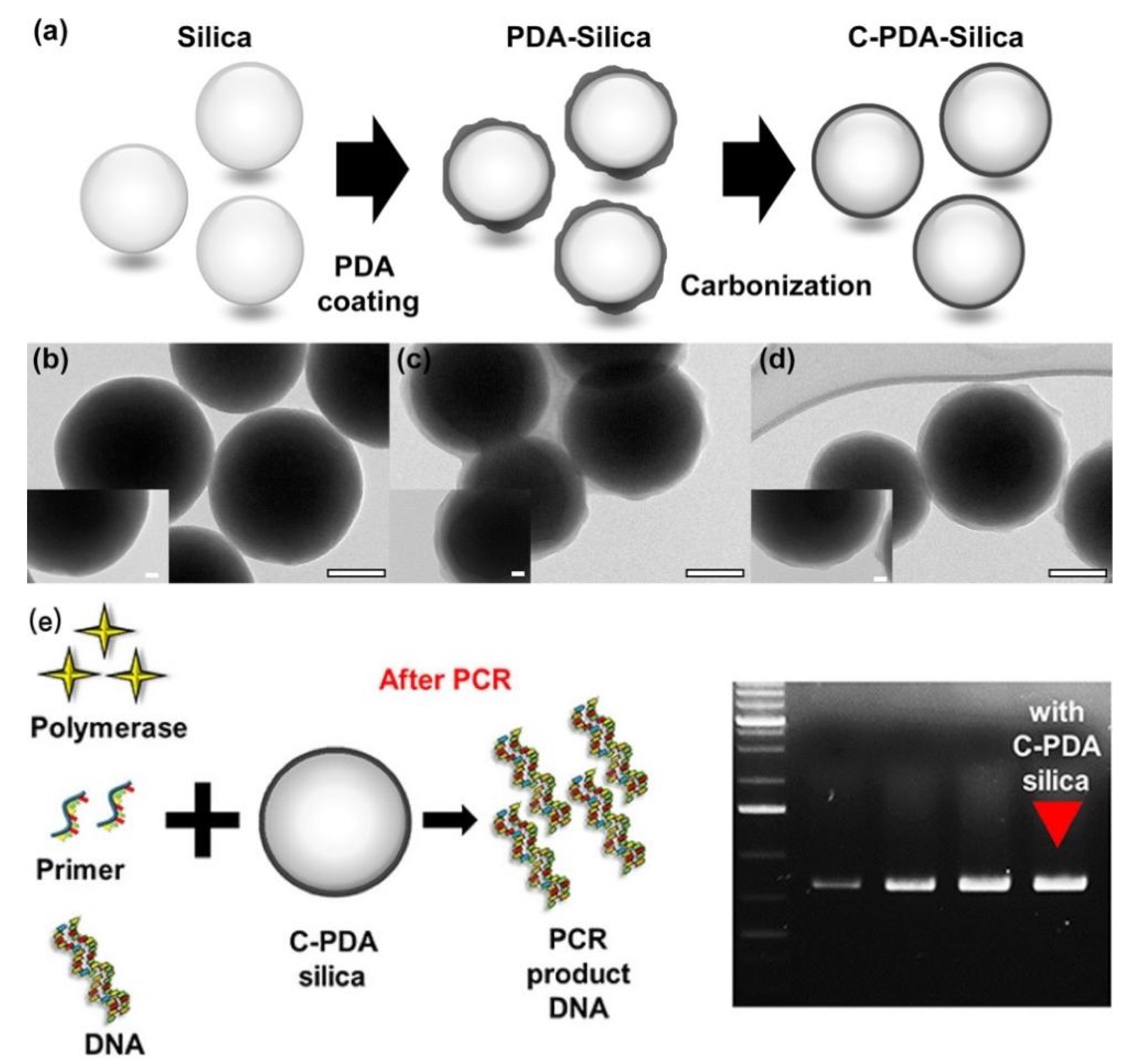 Molecules 27 08854 g008 Molecules 27 08854 g008