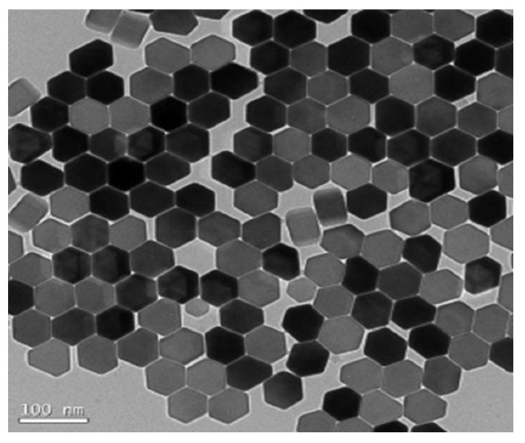 Molecules 27 08854 g009 Molecules 27 08854 g009