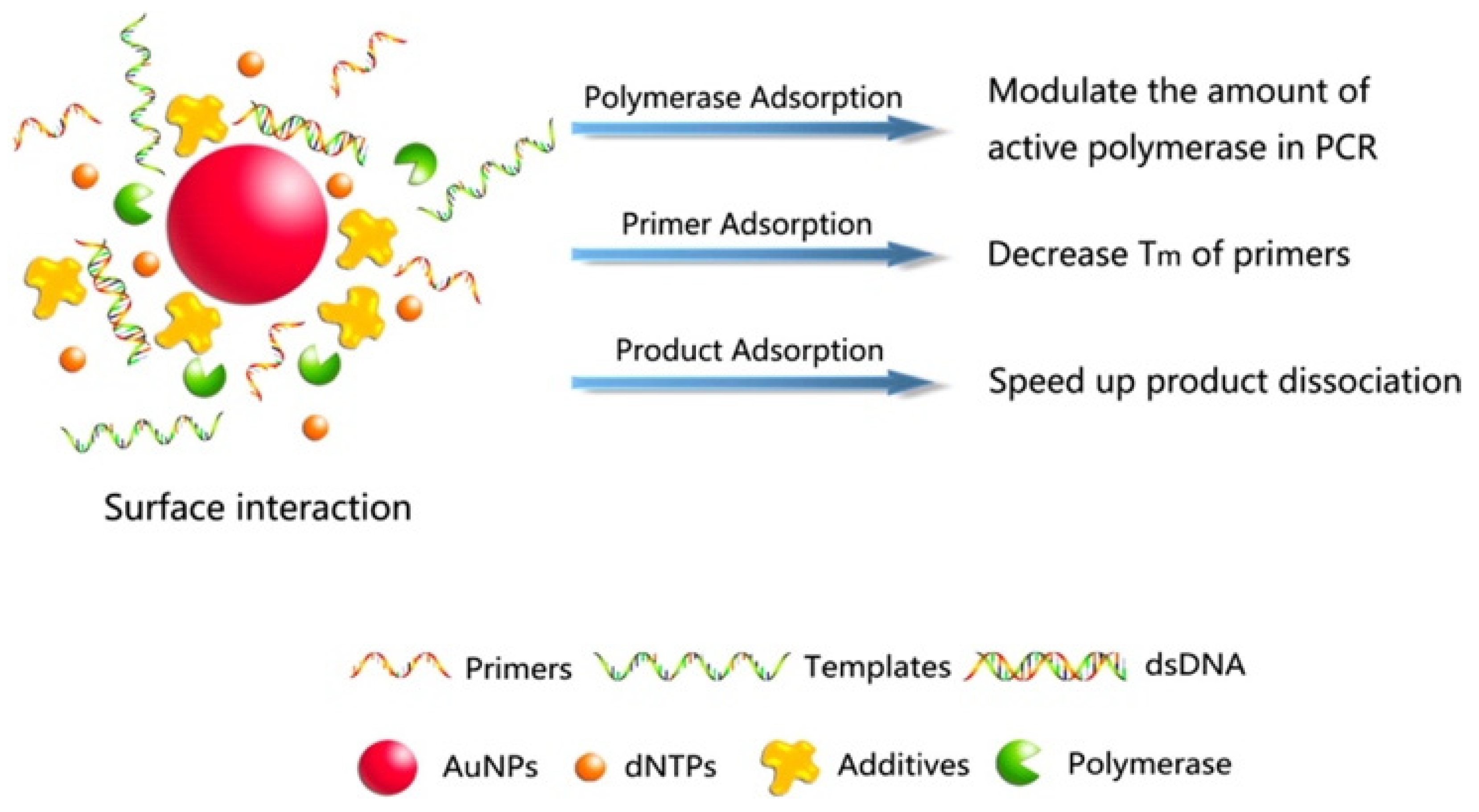 Molecules 27 08854 g014 Molecules 27 08854 g014