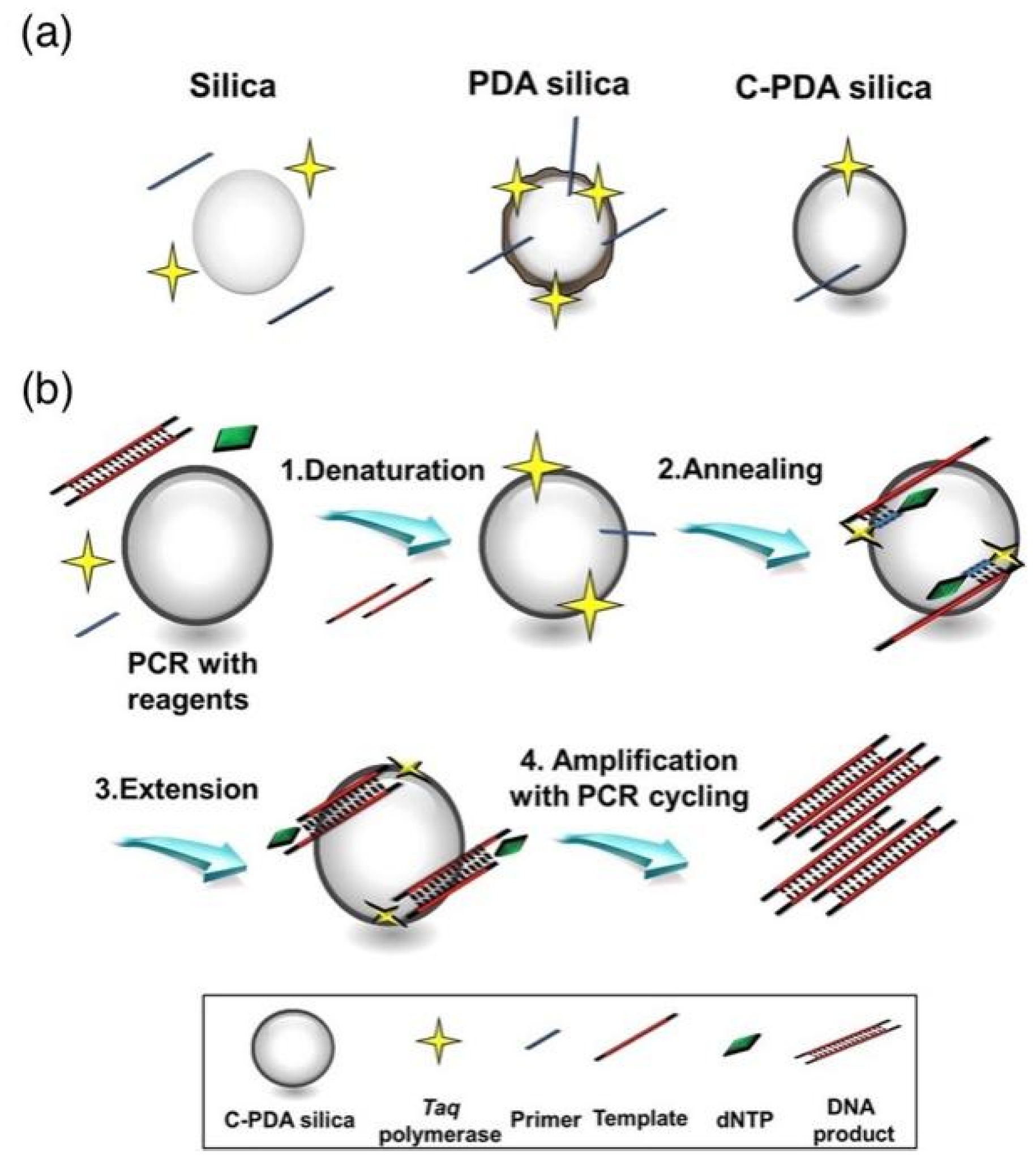 Molecules 27 08854 g015 Molecules 27 08854 g015