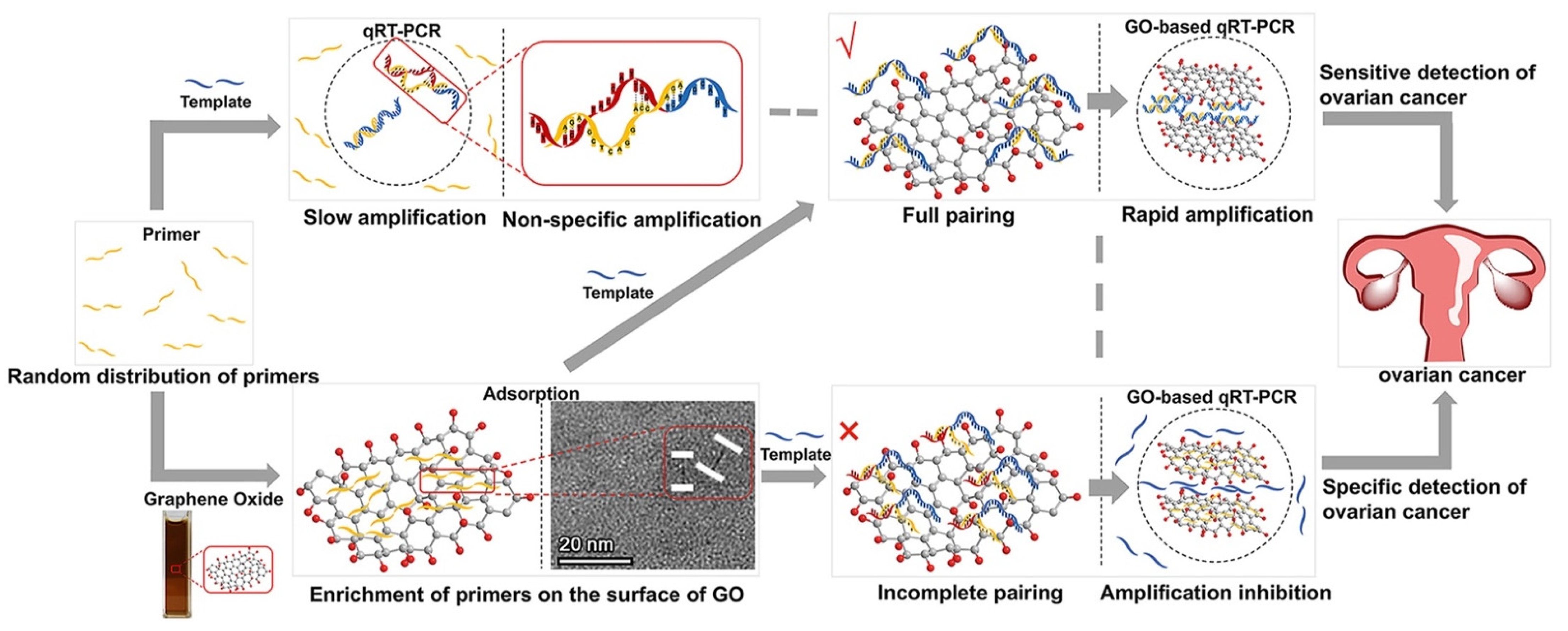 Molecules 27 08854 g017 Molecules 27 08854 g017