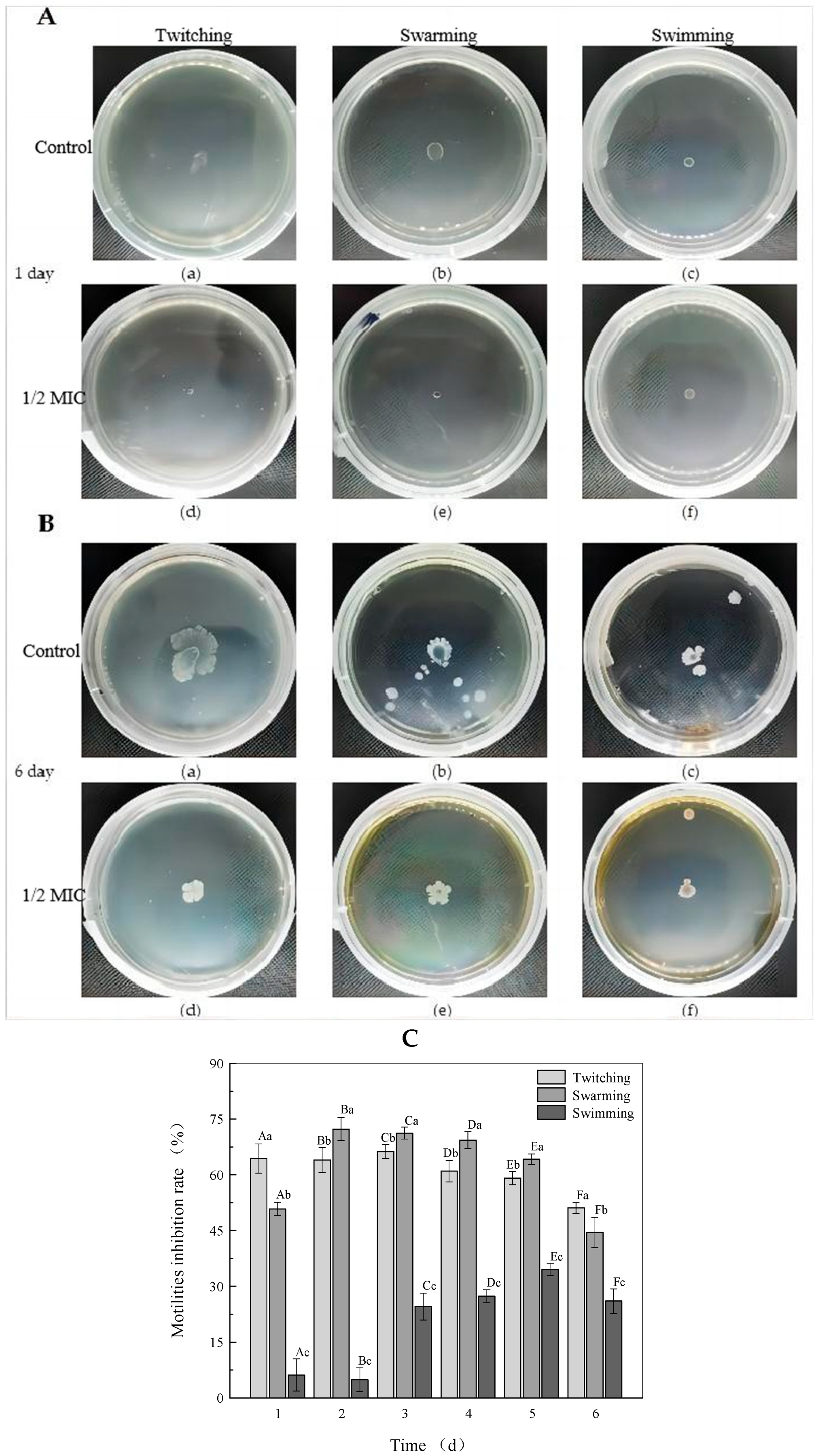 Molecules 27 08878 g003