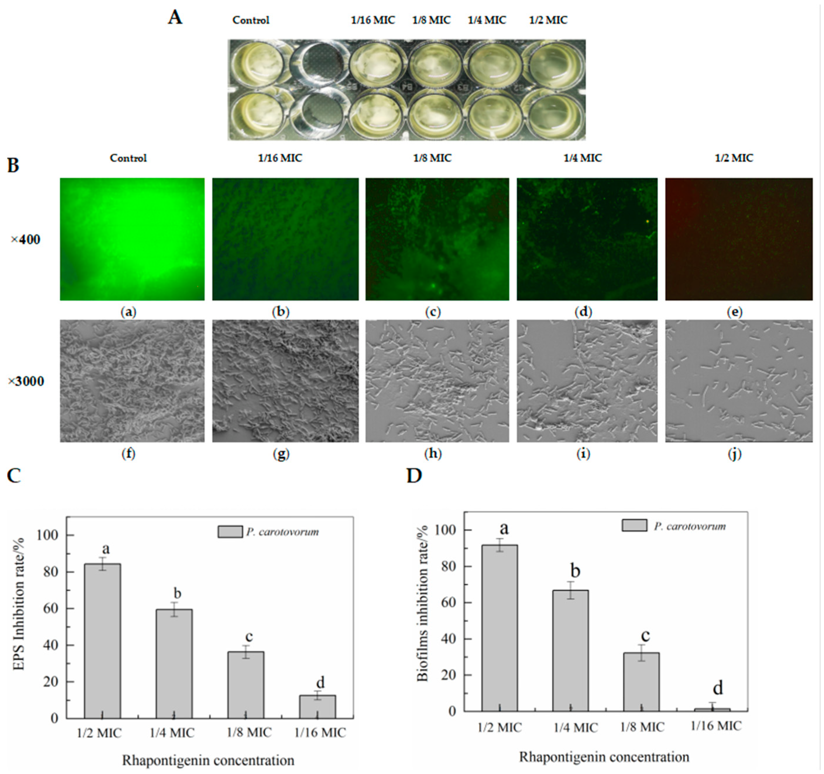 Molecules 27 08878 g004