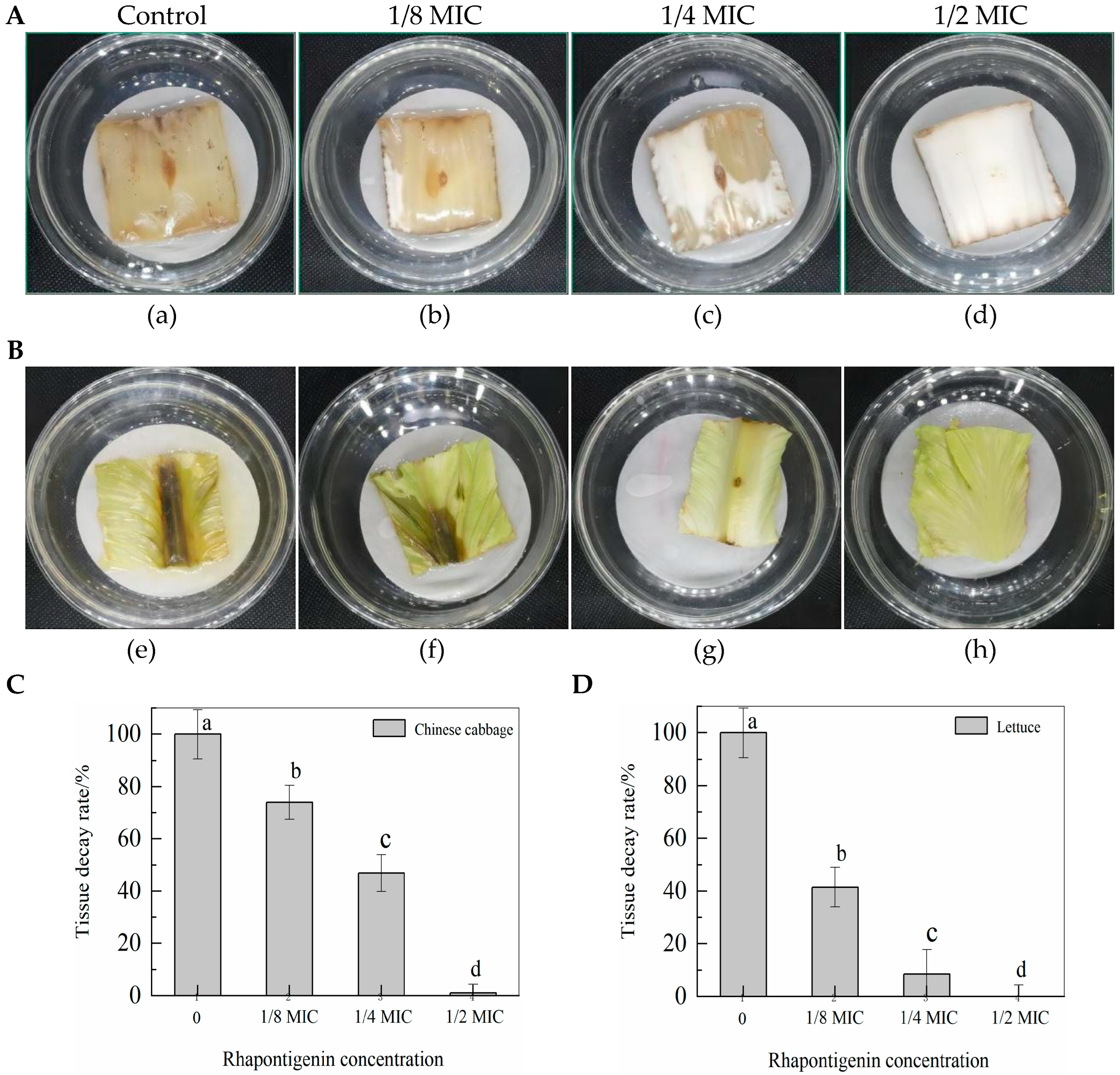 Molecules 27 08878 g007