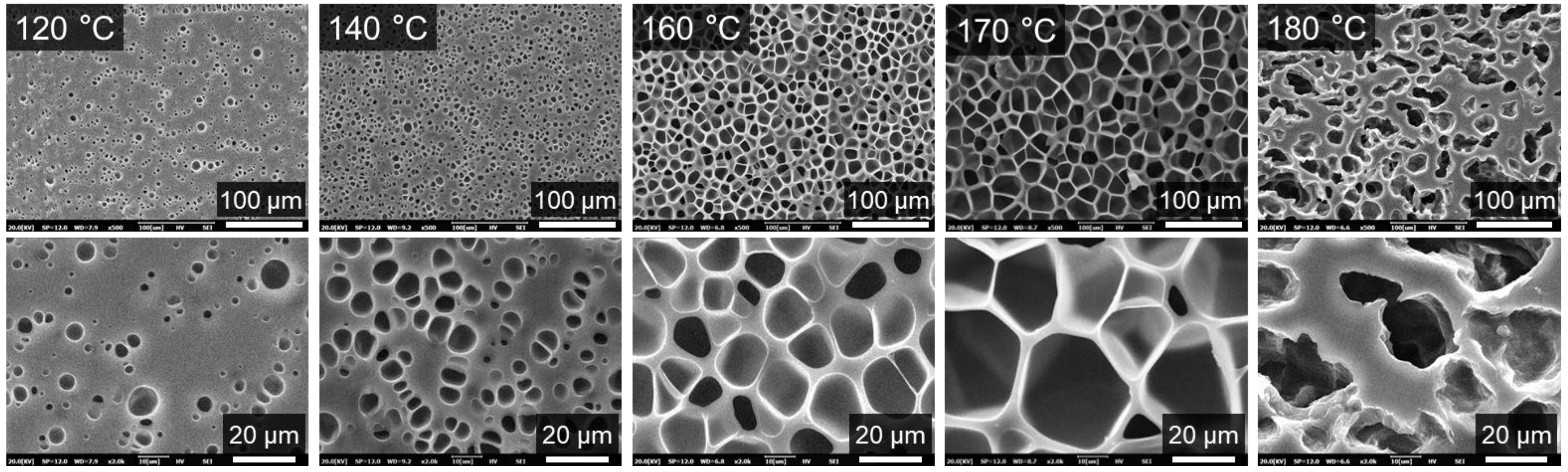Molecules 27 08911 g005