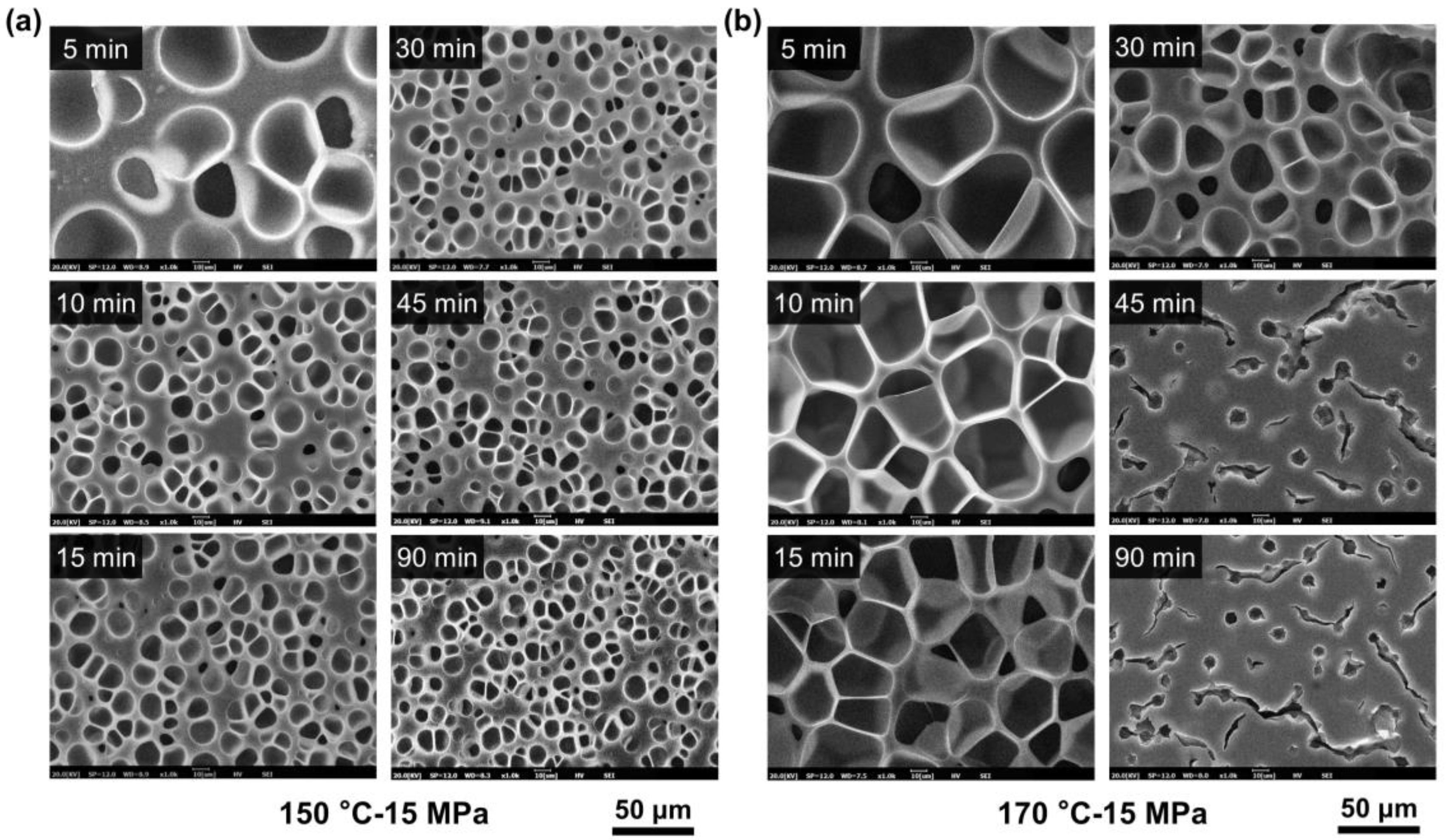 Molecules 27 08911 g009
