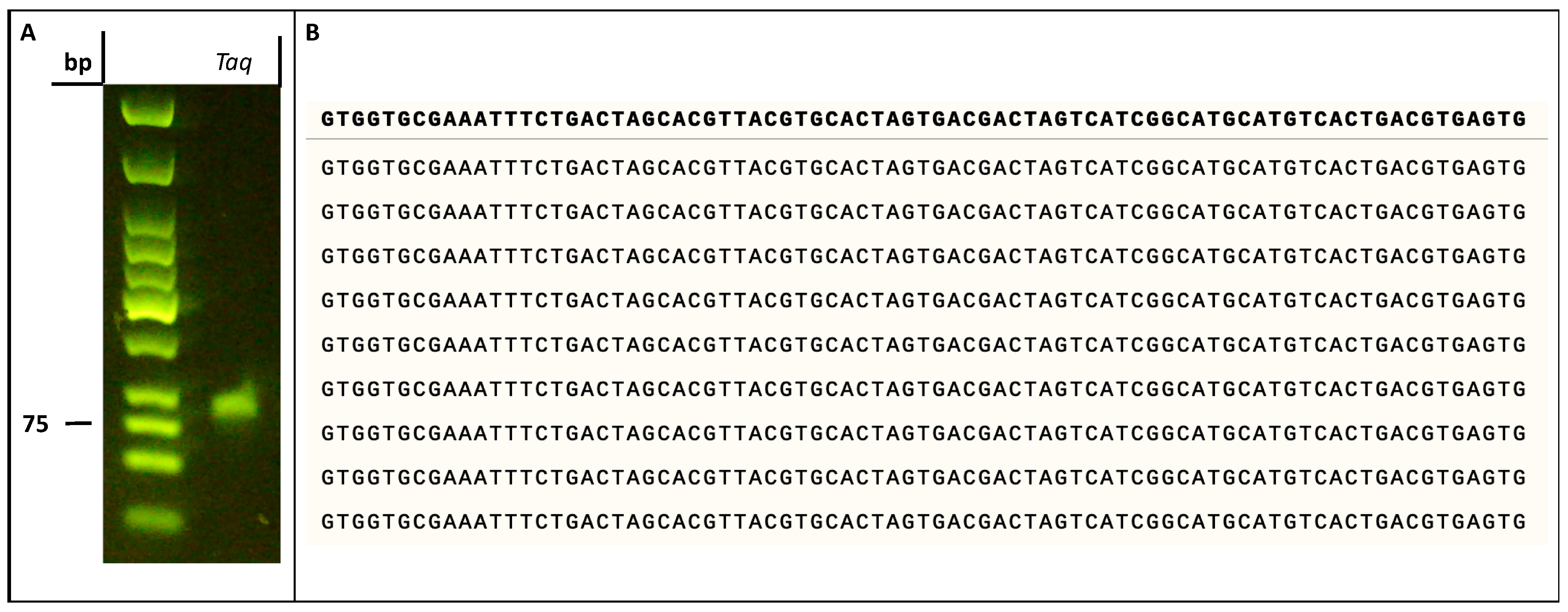 Molecules 27 08927 g007 Molecules 27 08927 g007