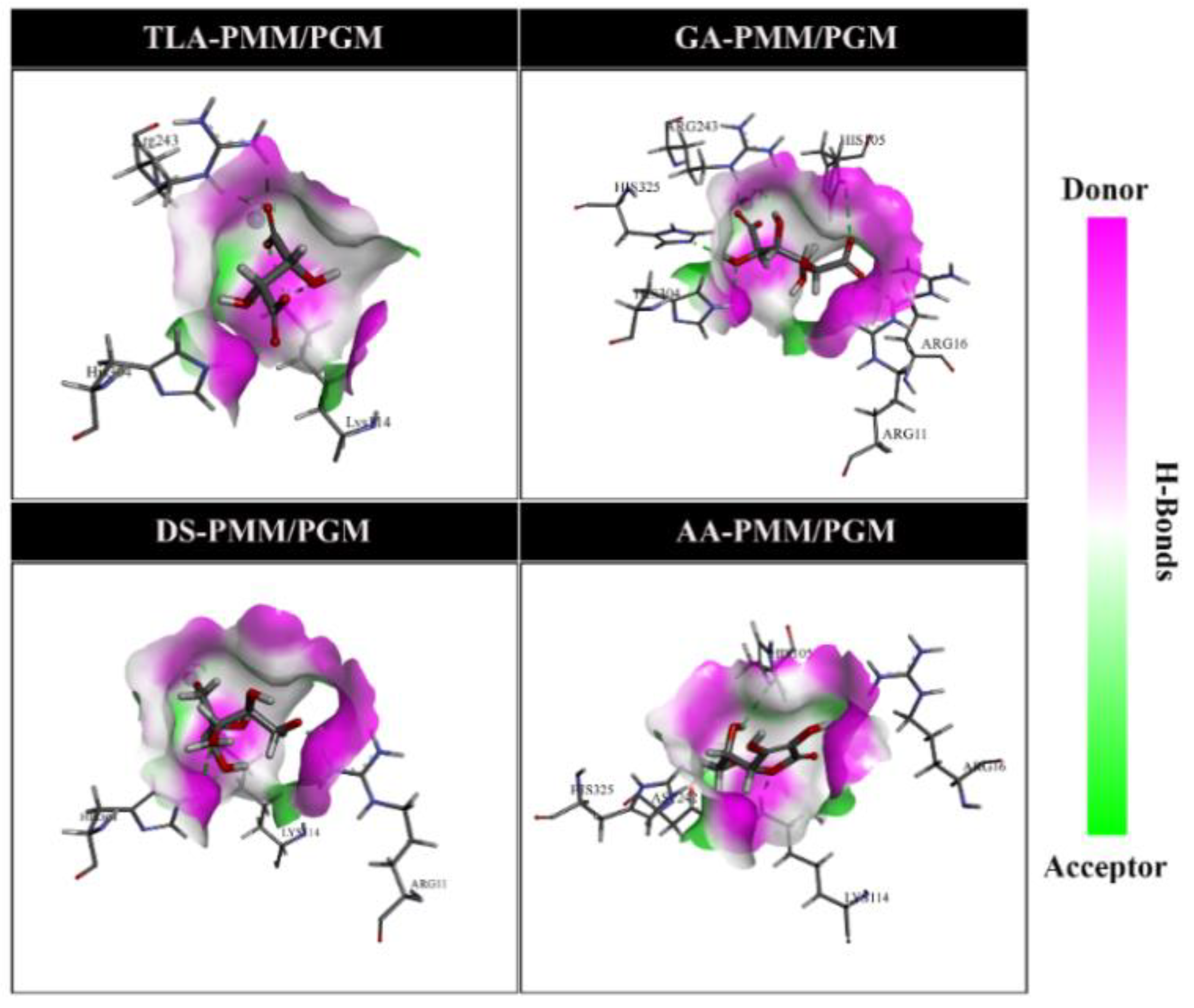 Molecules 27 08935 g005 Molecules 27 08935 g005