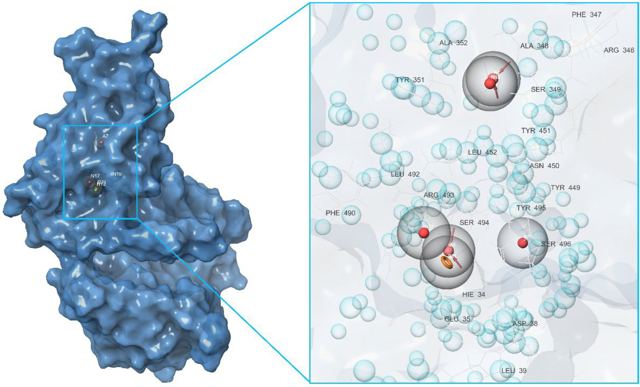 Molecules 27 08938 g005