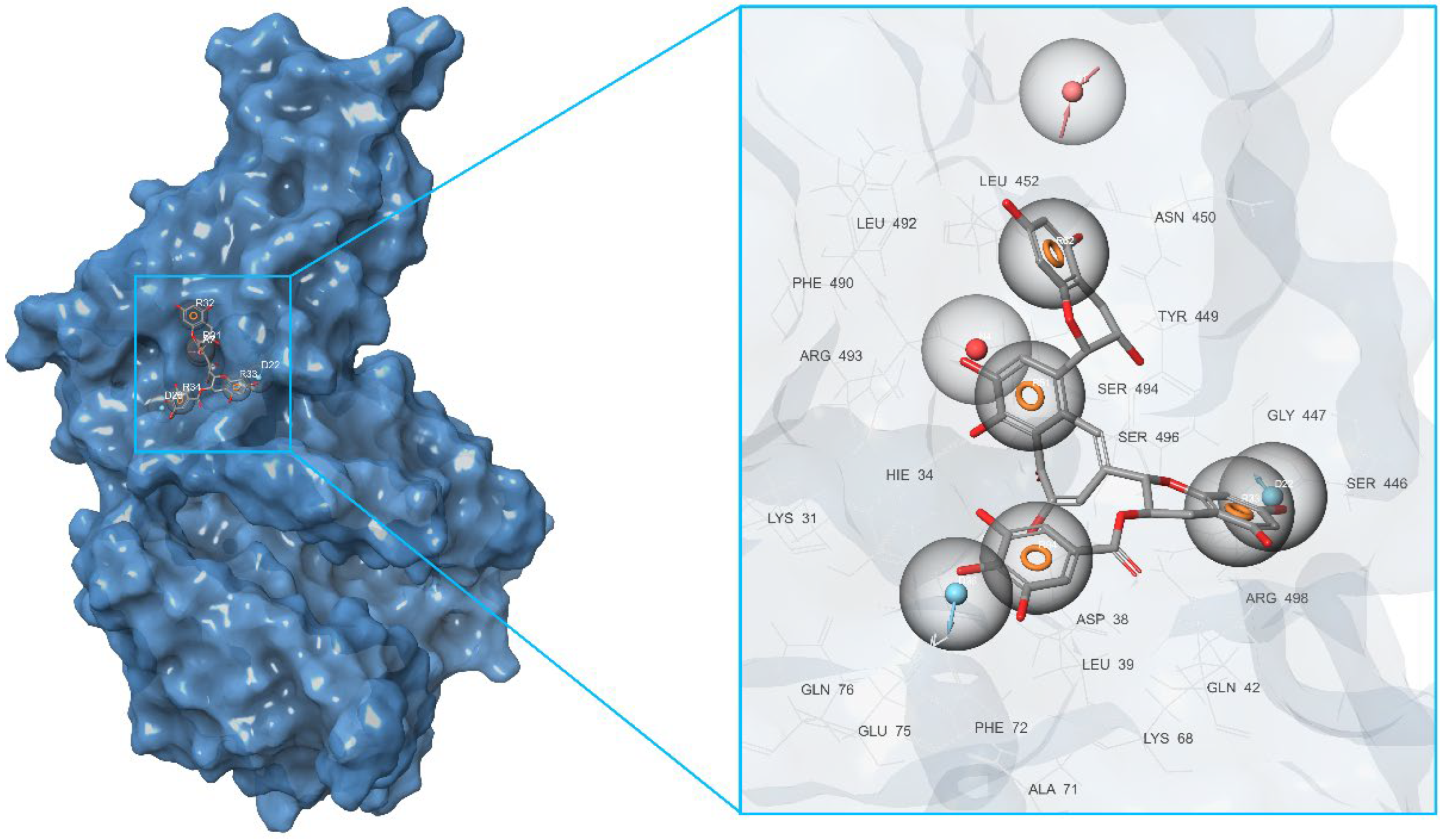 Molecules 27 08938 g007