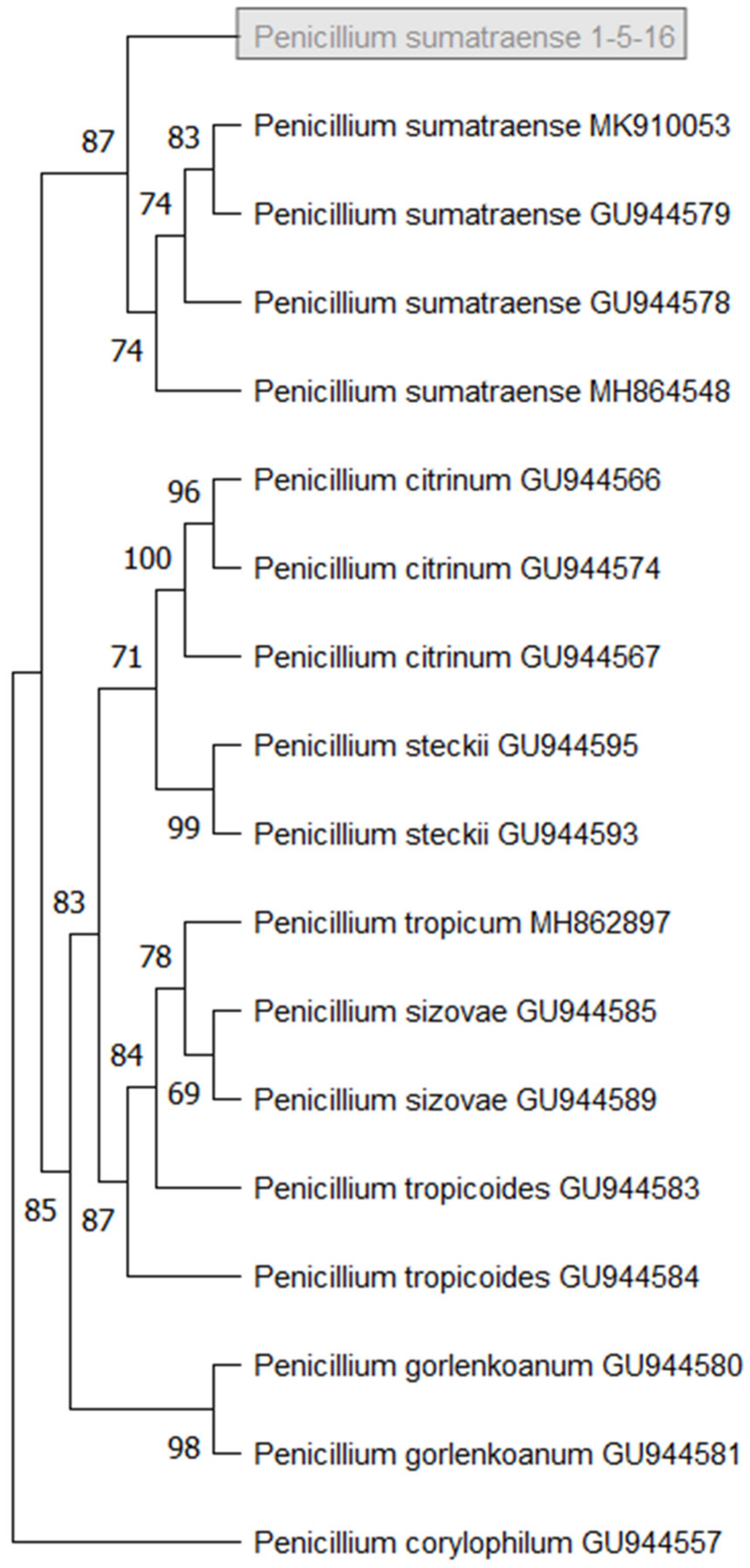 Molecules 27 08940 g006
