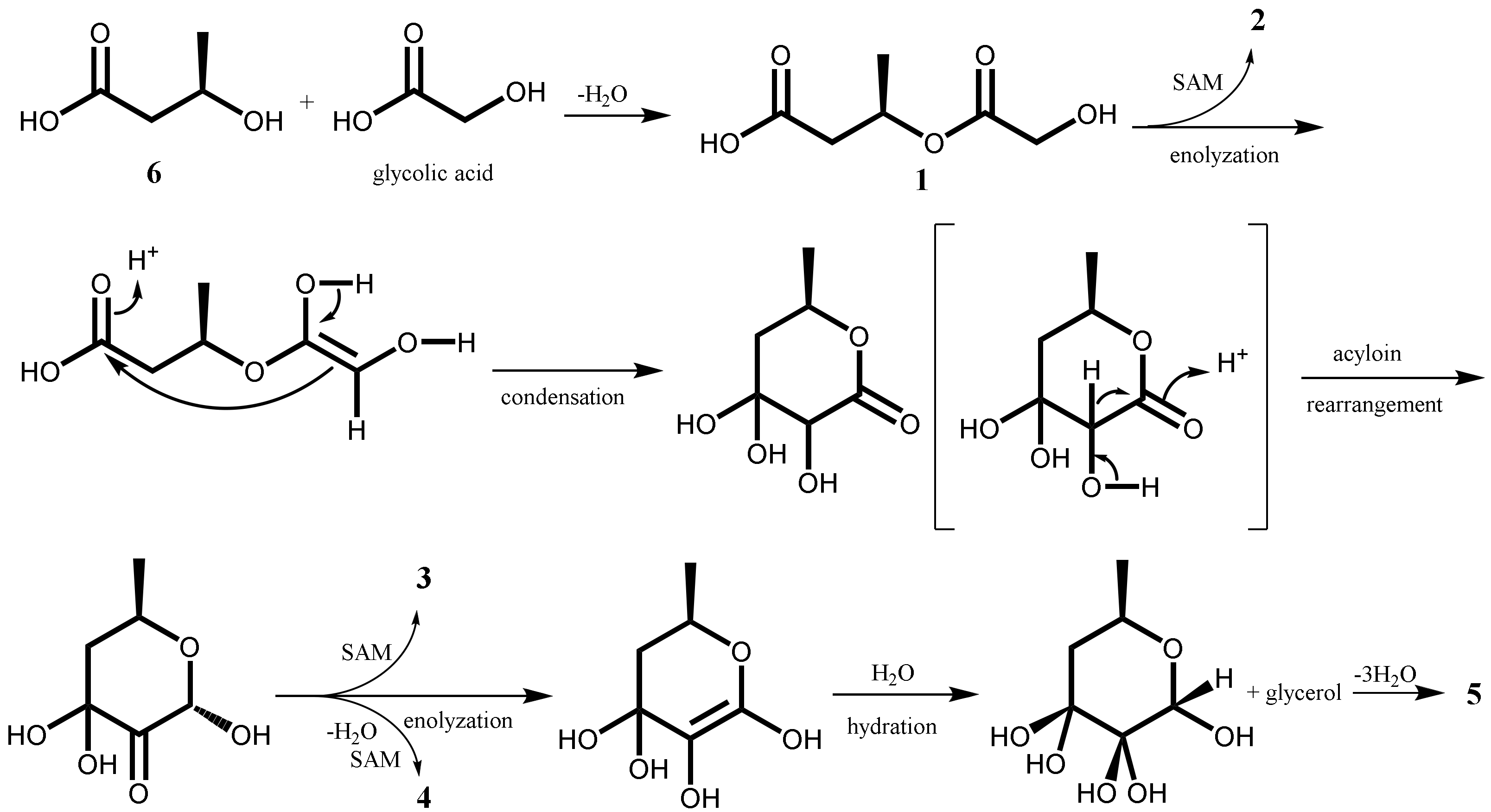 Molecules 27 08940 sch001