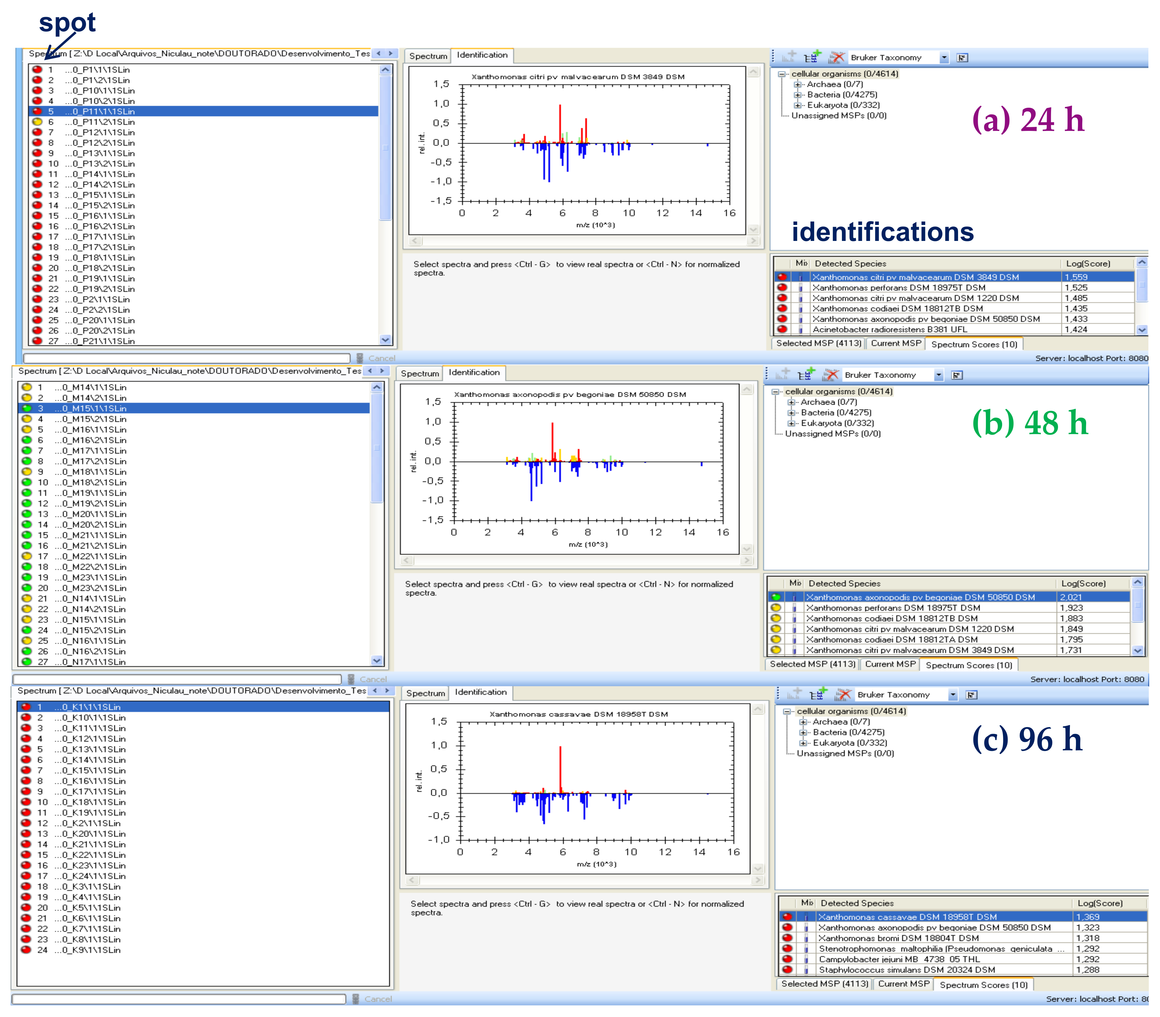 Molecules 27 08947 g003 Molecules 27 08947 g003