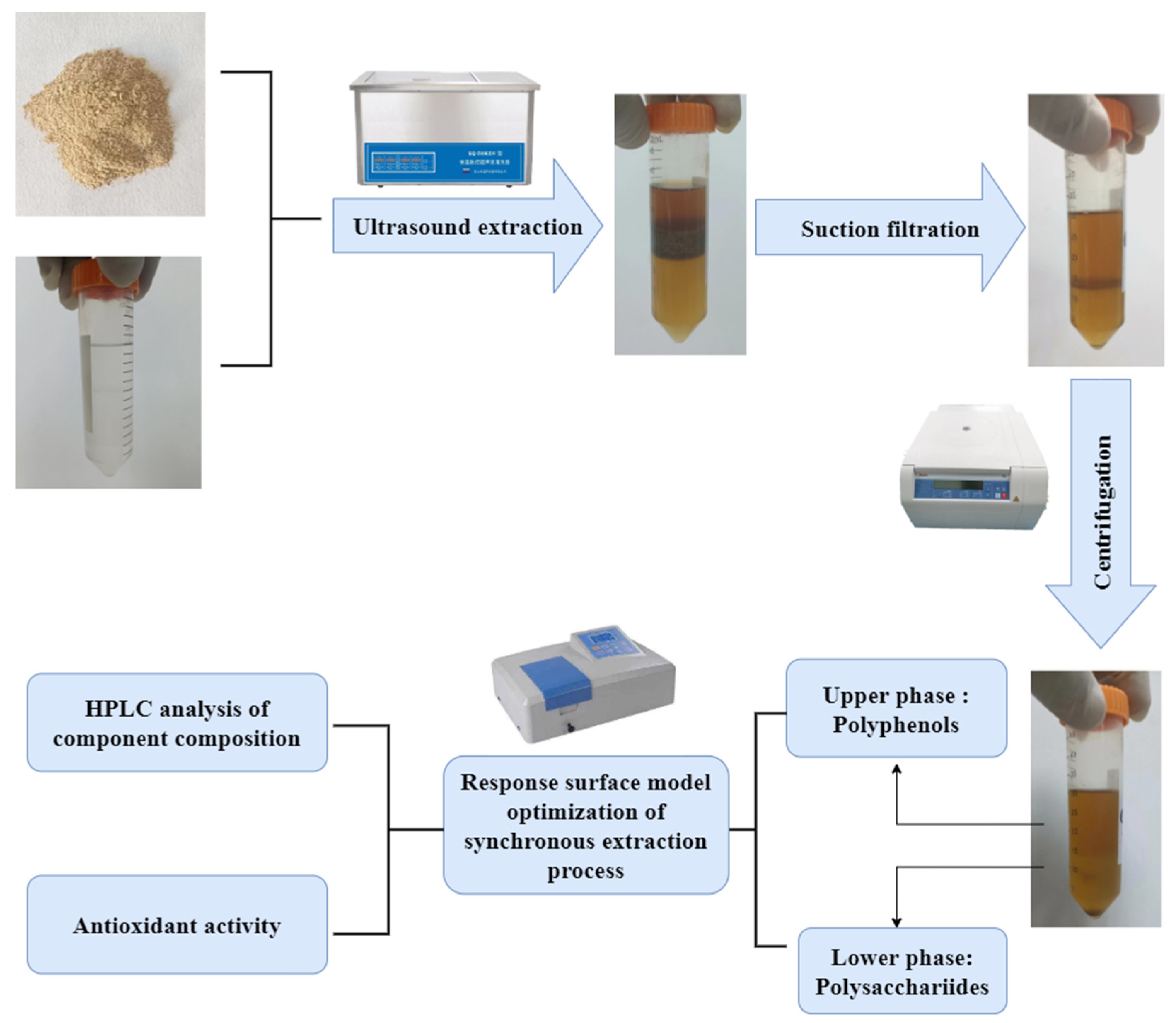 Molecules 27 08962 g005 Molecules 27 08962 g005