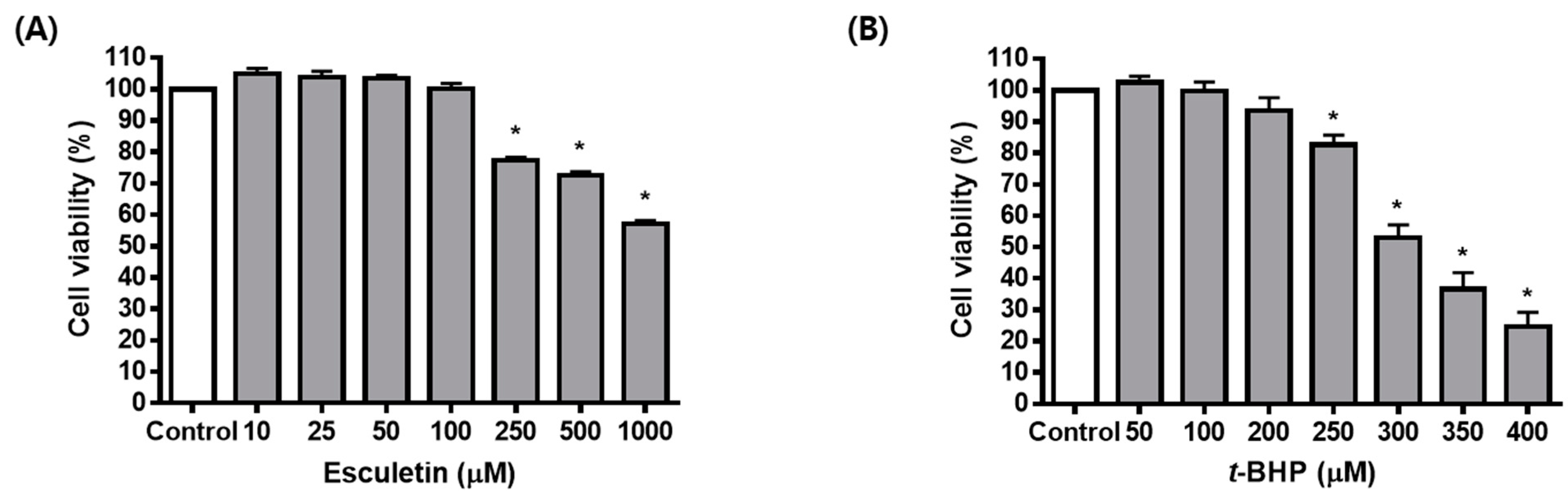 Molecules 27 08970 g001a Molecules 27 08970 g001a