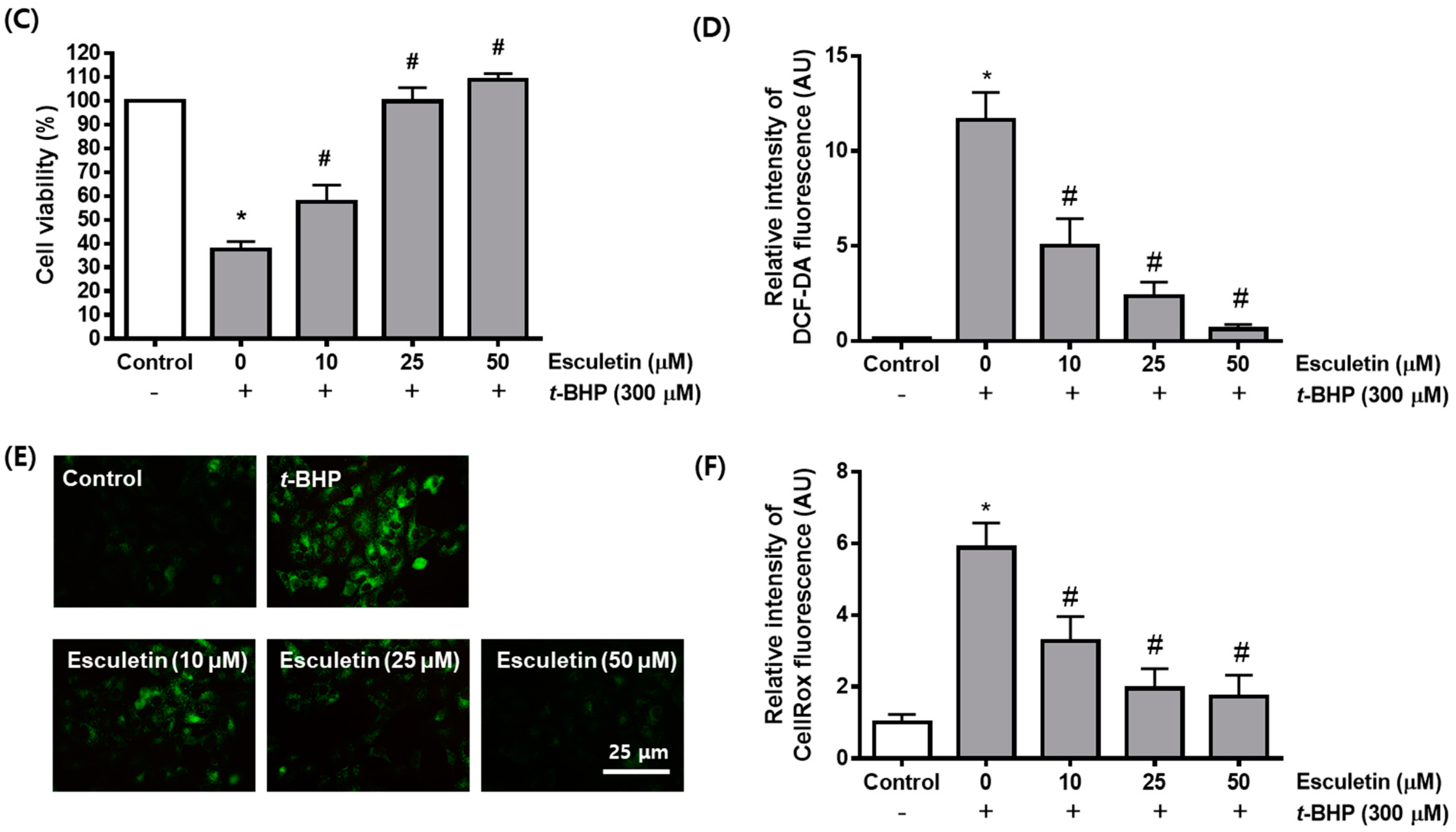 Molecules 27 08970 g001b Molecules 27 08970 g001b